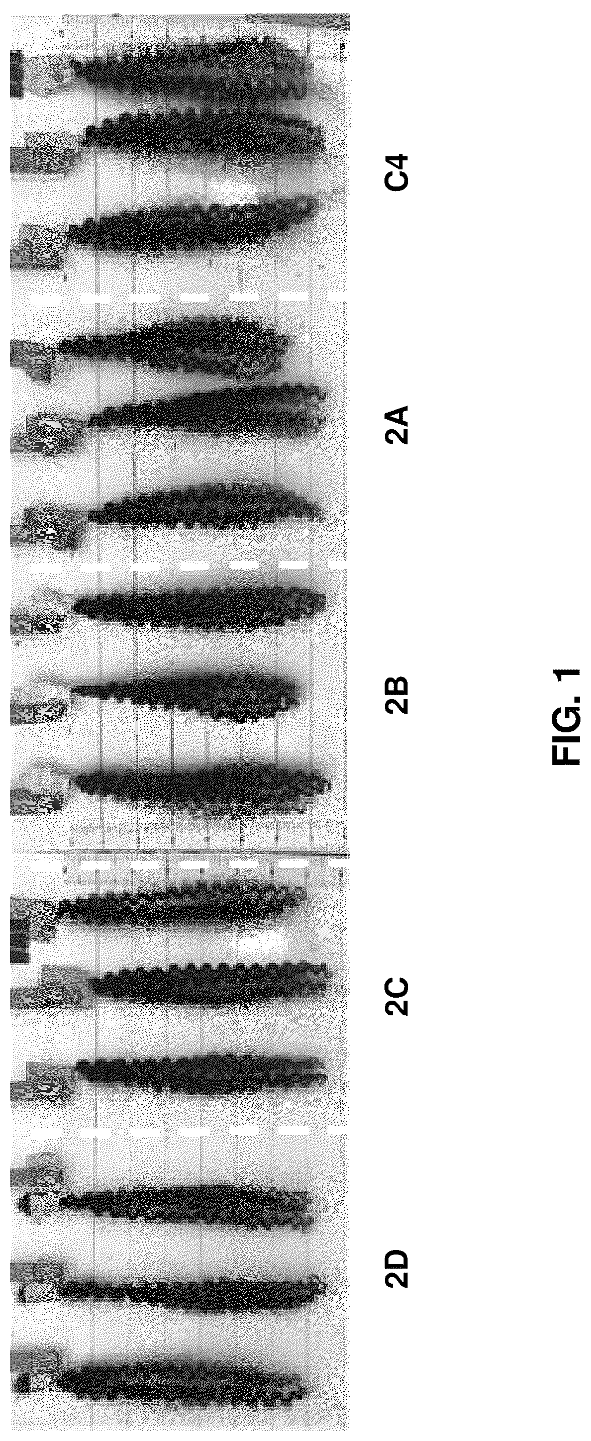 Patent US12551422 — Compositions and methods for styling the hair — Figure 1