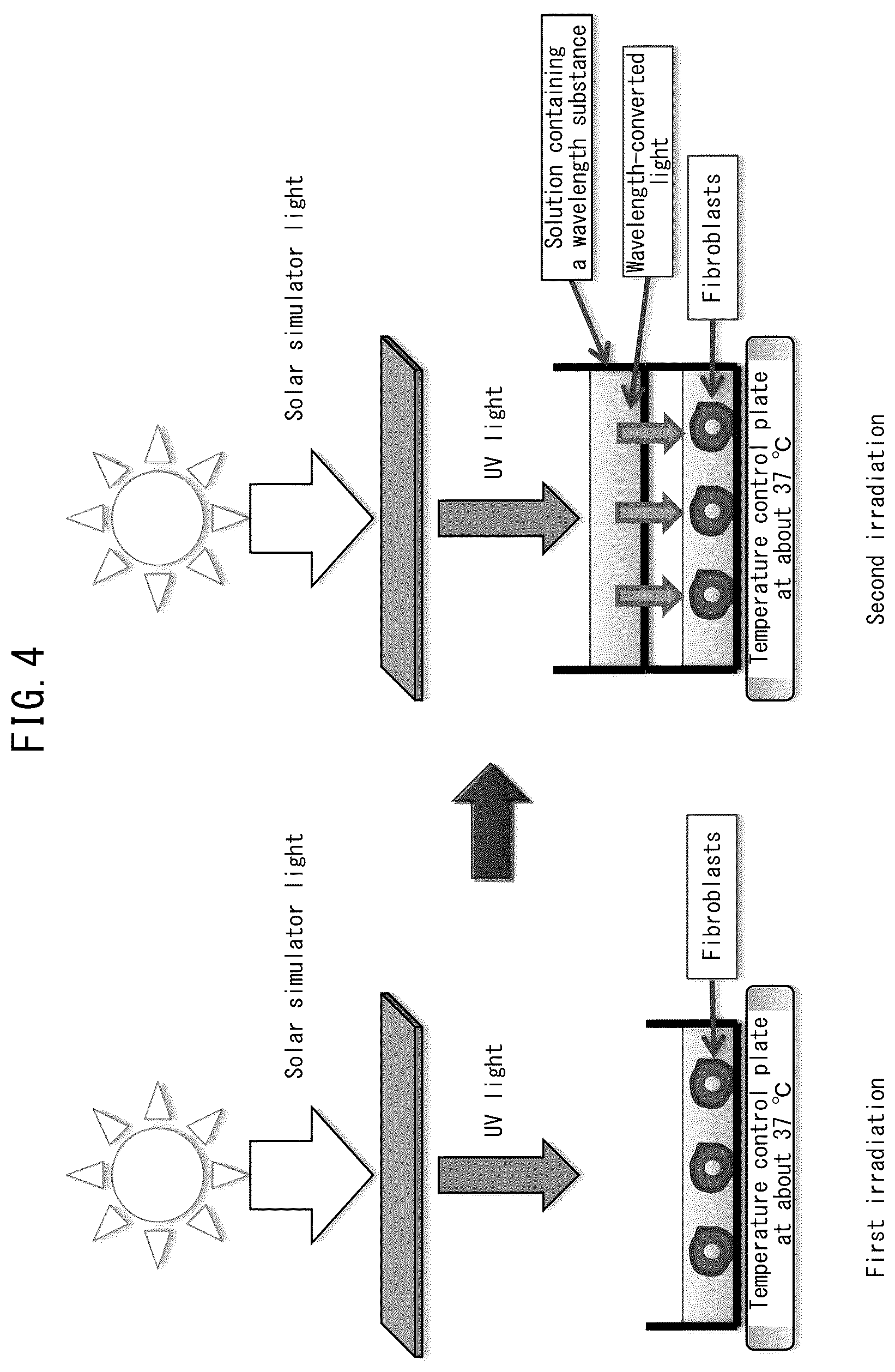 Patent US12551424 Figure 4 – Oil-in-water type emulsification composition containing UV wavelength conversion substance