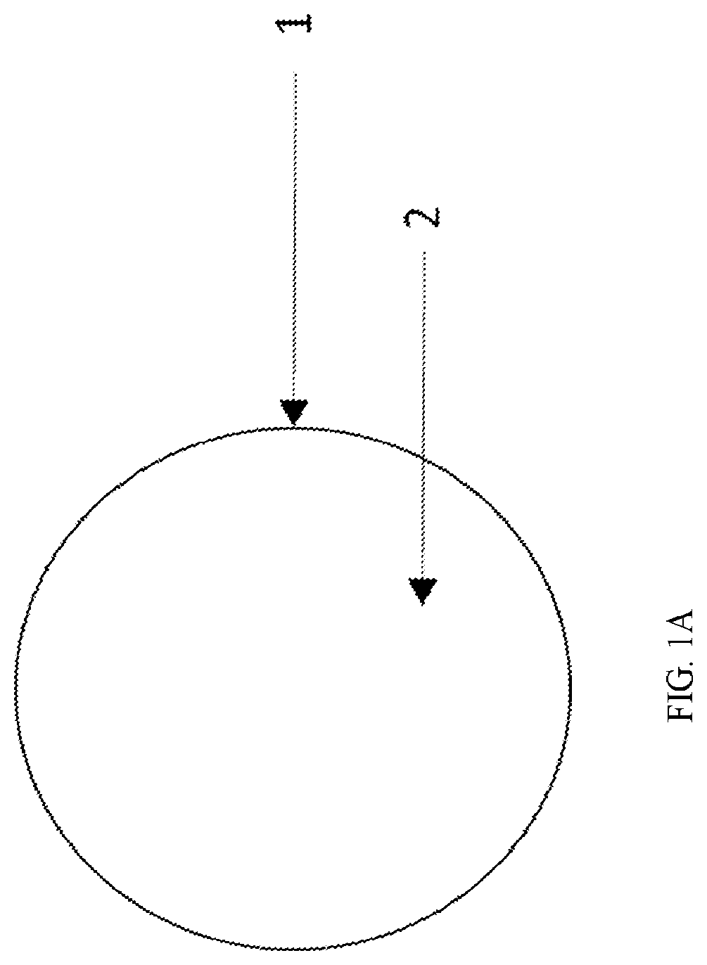 Patent US12551434 Figure 1 – Zwitterionic polymer particle compositions and related methods