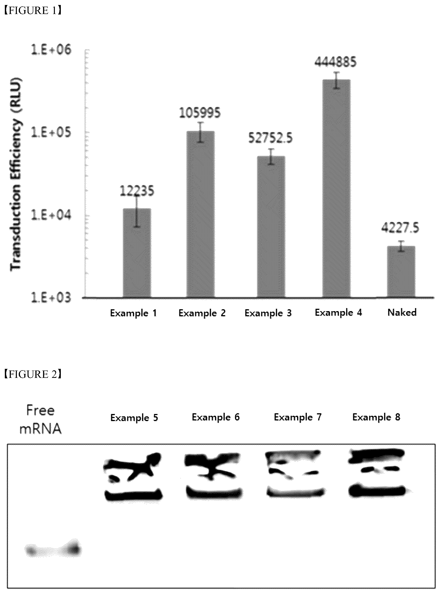 Patent US12551452 Figure 1 – Kit for preparing nanoparticle composition for drug delivery, comprising polylactic acid salt
