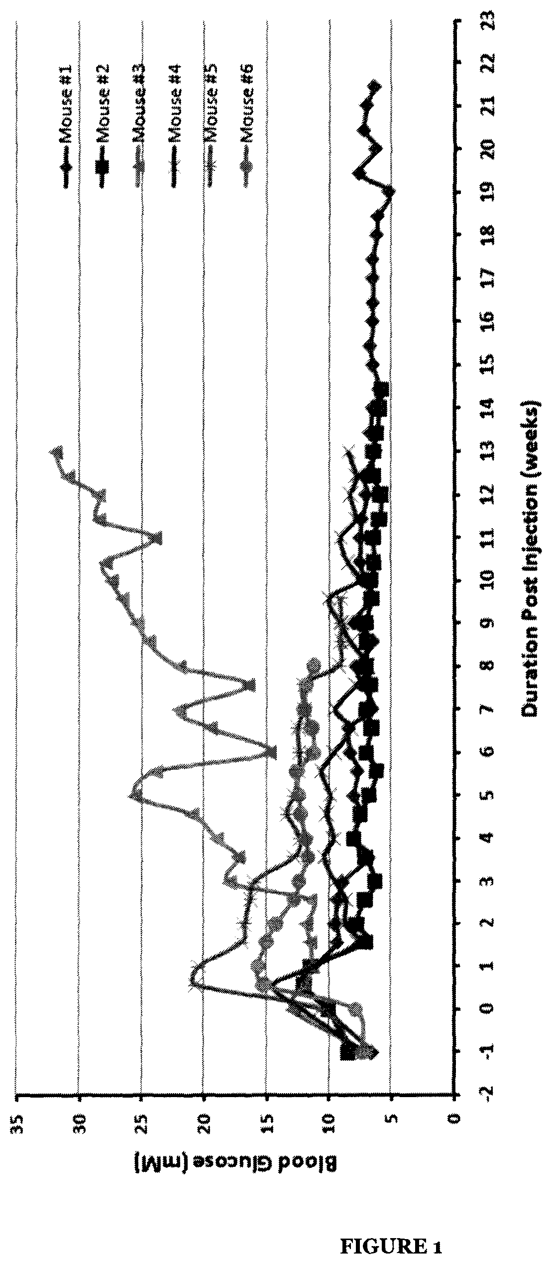 Patent US12551459 — Combination of kynurenine and antigen presenting cells (APC) as therapeutics and methods for their use in immune modulation — Figure 1