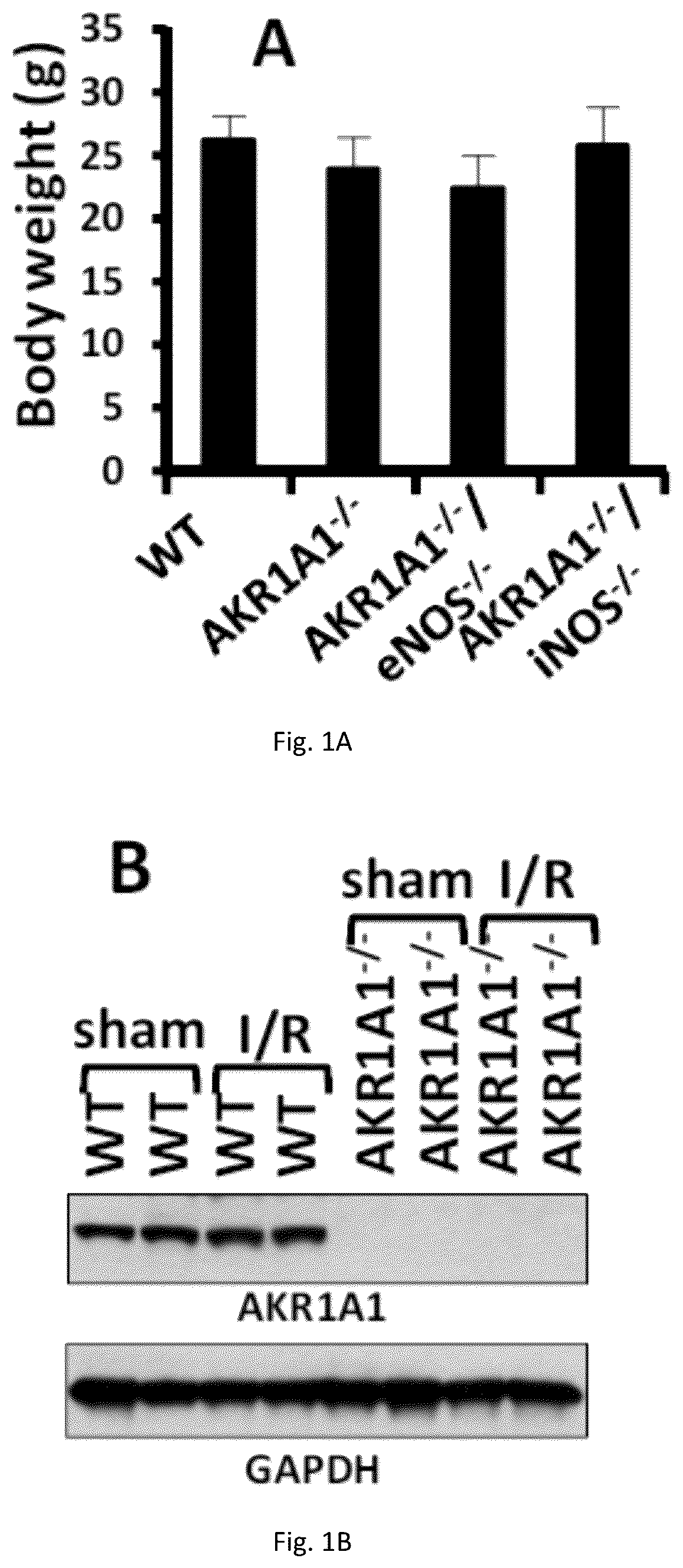 Patent US12551467 — Compositions and methods of modulating S-nitrosylation — Figure 1