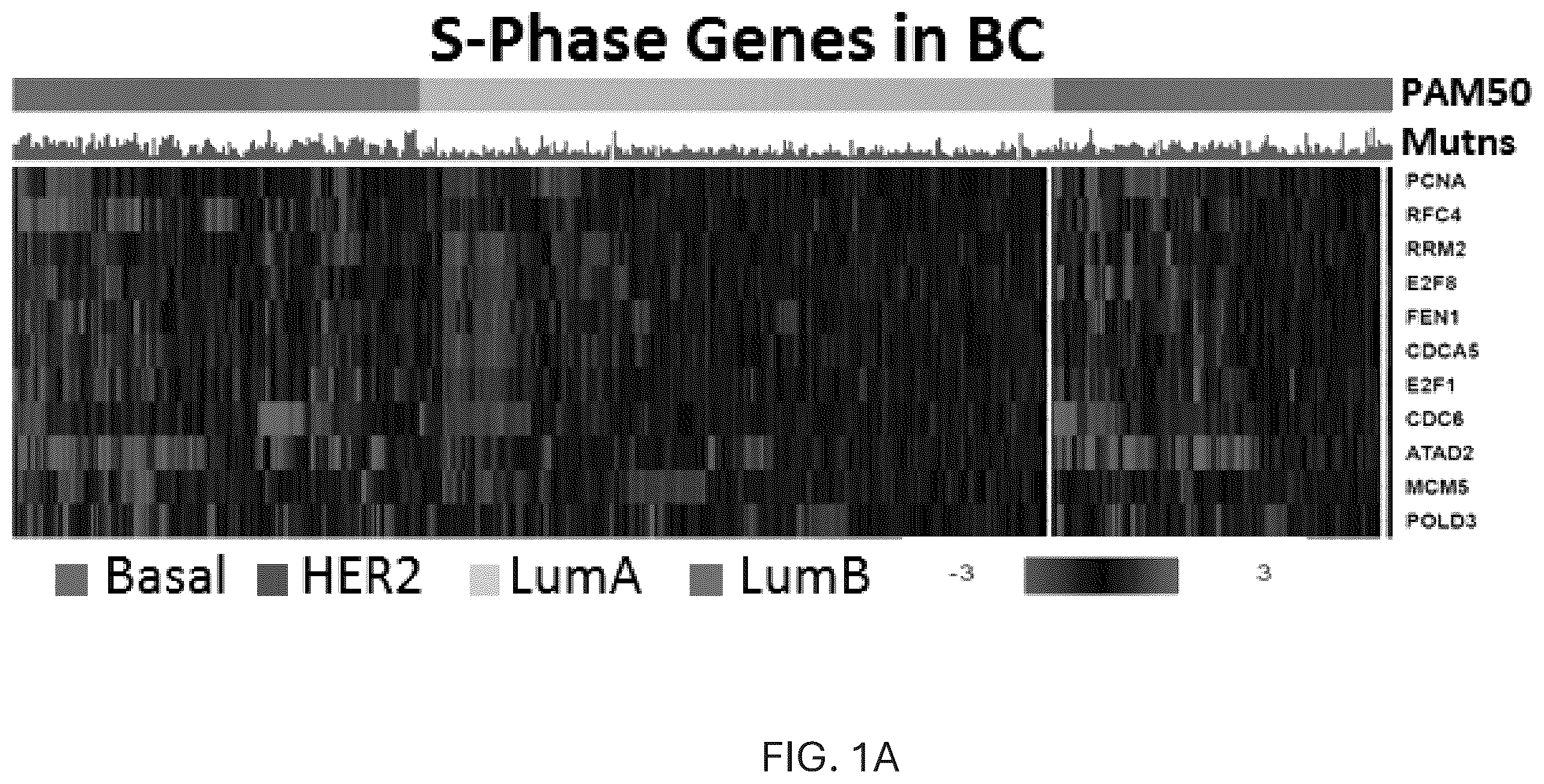 Patent US12551498 — Treatment of P53-deficient cancers — Figure 1