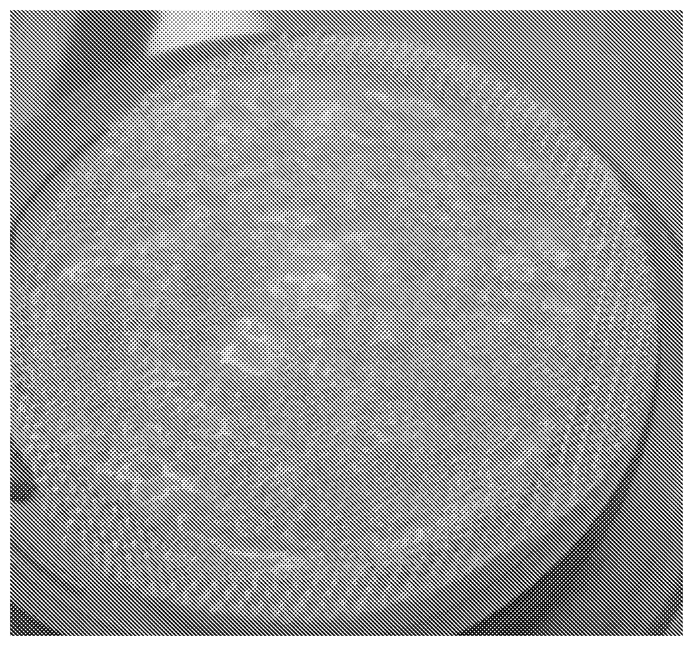 Patent US12551510 — Compositions of morselized umbilical cord and/or amniotic membrane and methods of use thereof — Figure 1