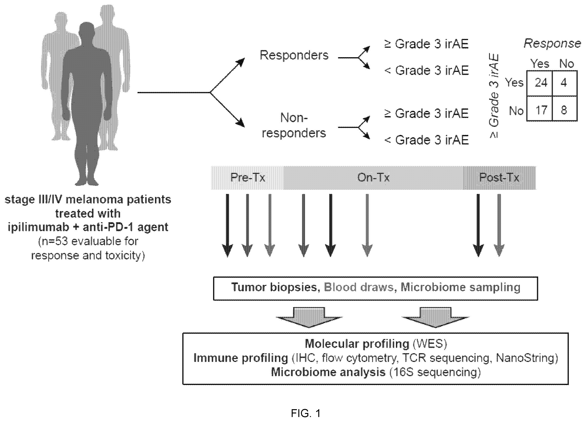 Patent US12551515 — Methods and compositions for treating cancer — Figure 1