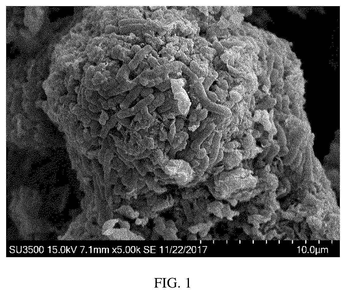 Patent US12551518 — Probiotic system and use thereof — Figure 1