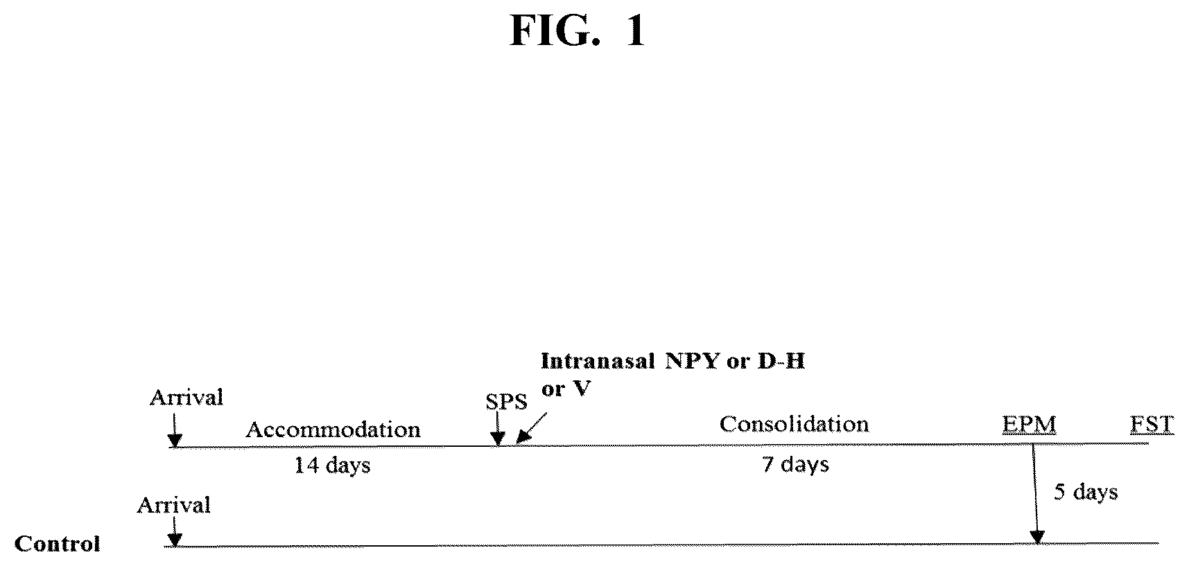 Patent US12551533 — Intranasal neuropeptides for use in stress-related impairments — Figure 1