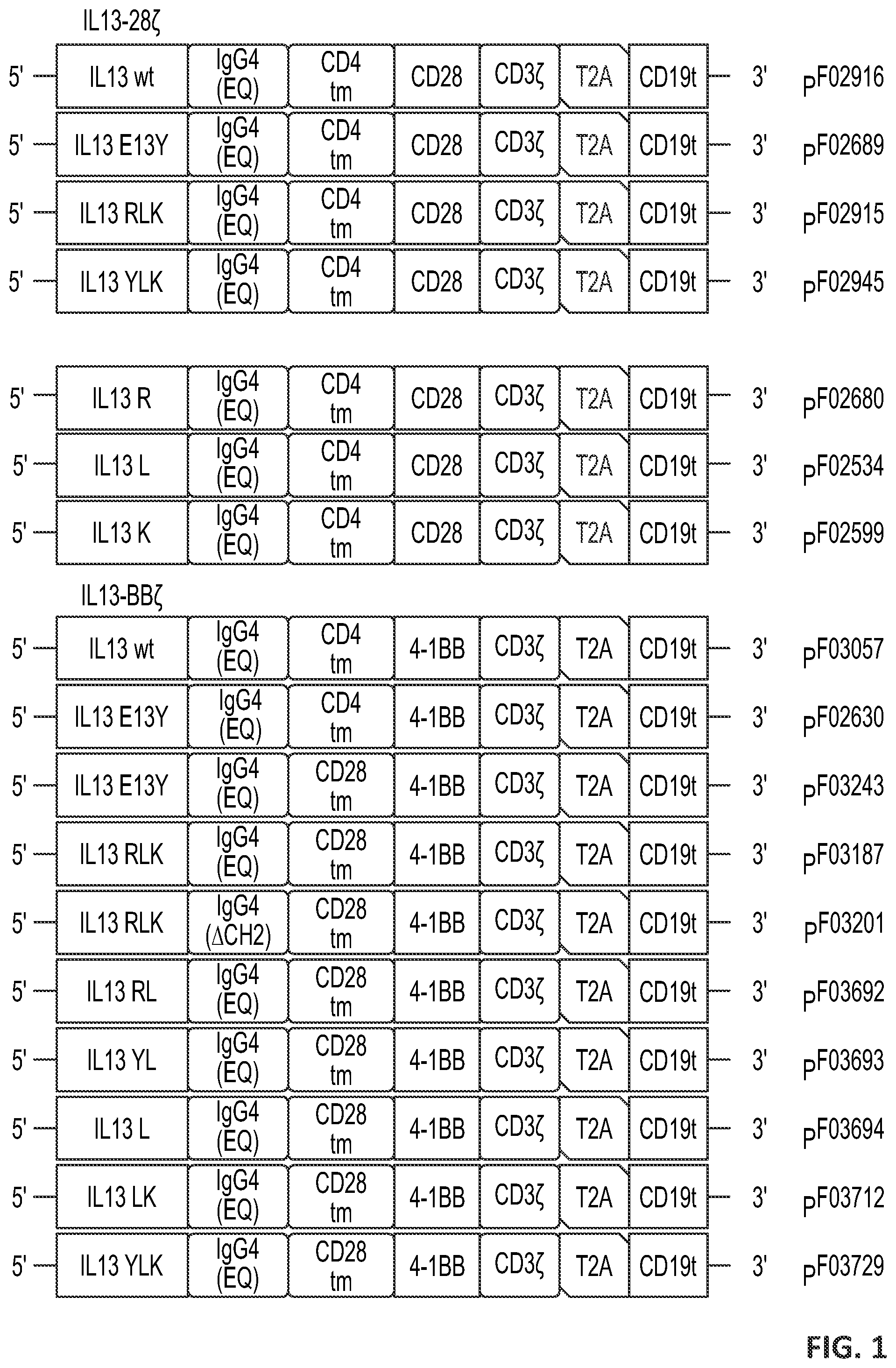 Patent US12551557 — Targeted chimeric antigen receptor modified T cells for treatment of IL13RALPHA2 positive malignancies — Figure 1