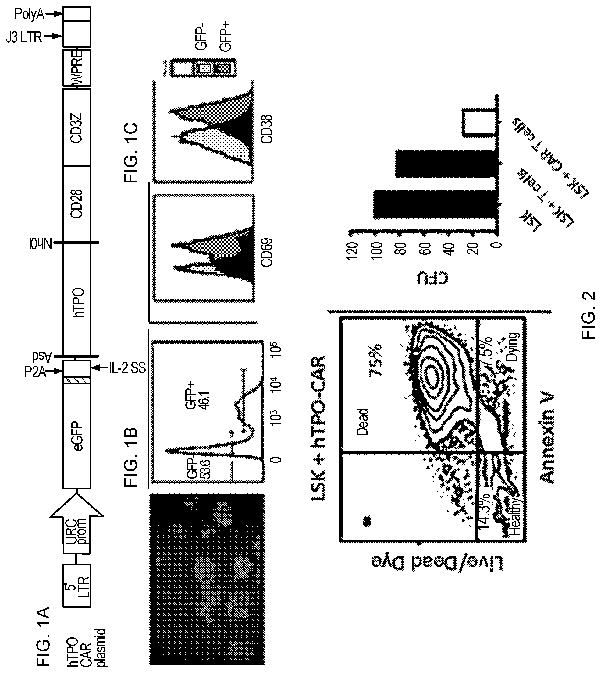 Patent US12551558 — Compositions and methods for promoting hematopoietic cell cytotoxicity — Figure 1