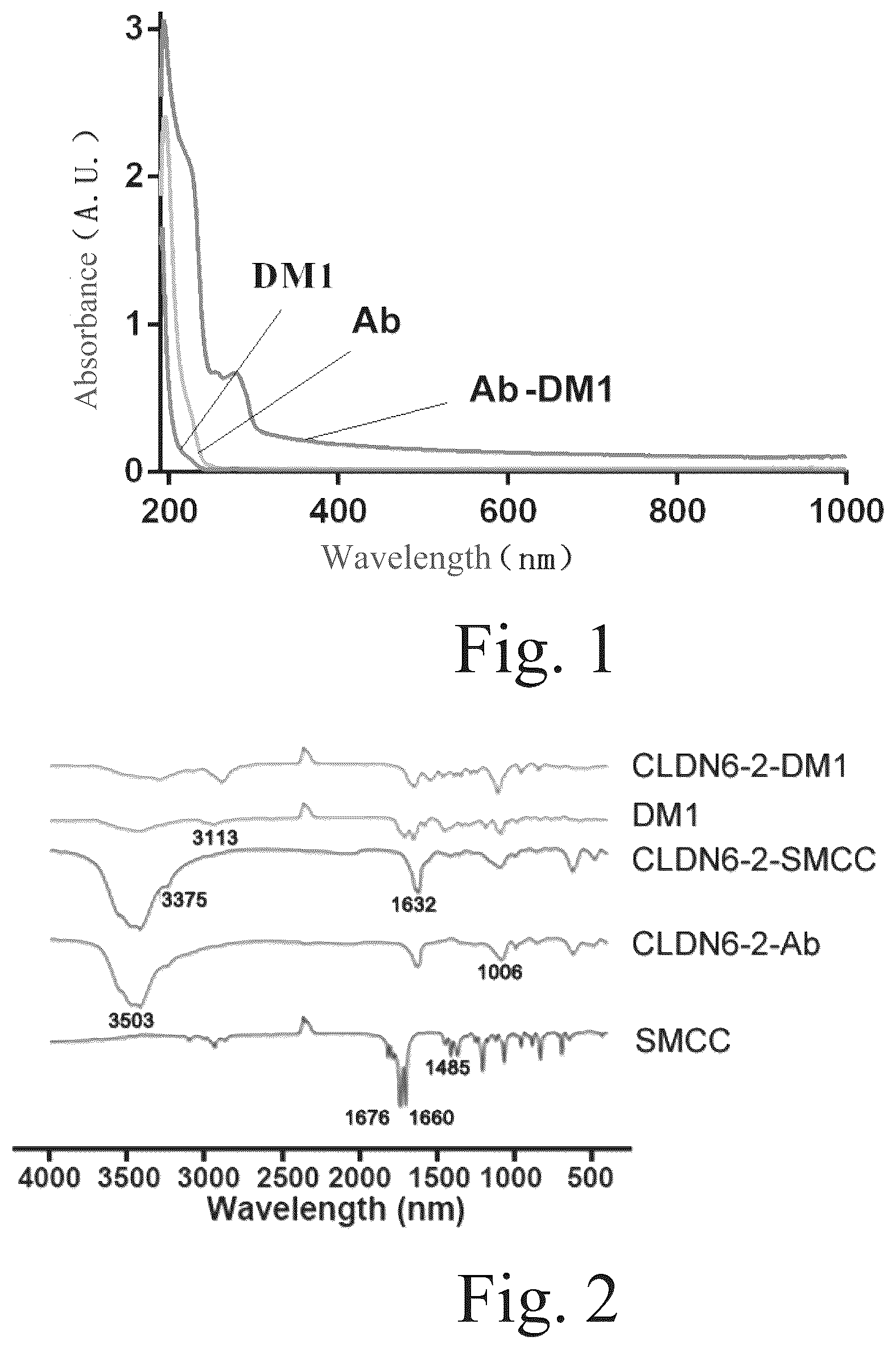Patent US12551568 — Anti-claudin 6 antibody and antibody-drug conjugate — Figure 1