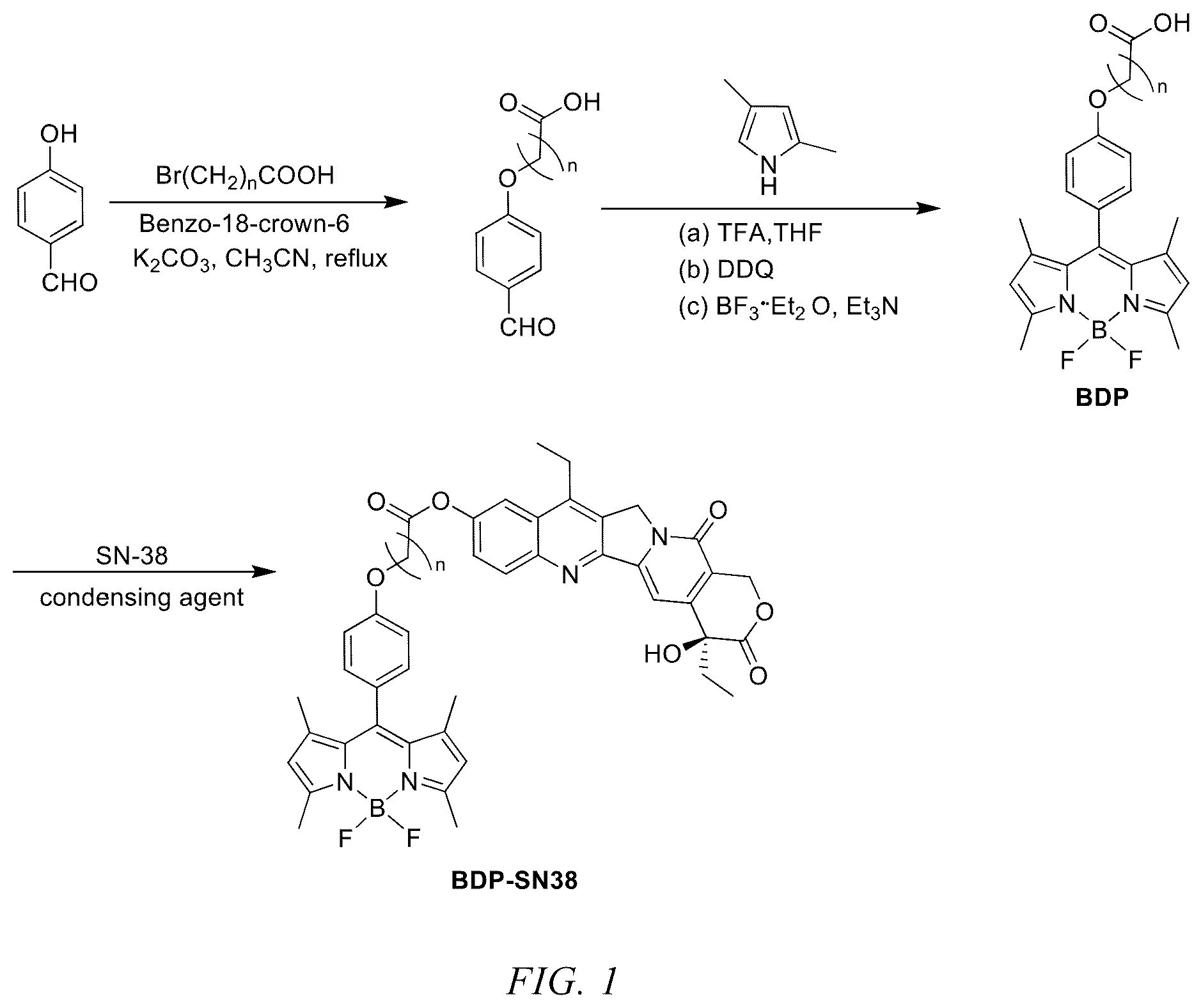 Patent US12551577 — 7-ethyl-10-hydroxycamptothecin drug precursor with fluorescence activity, and preparation method and use thereof — Figure 1