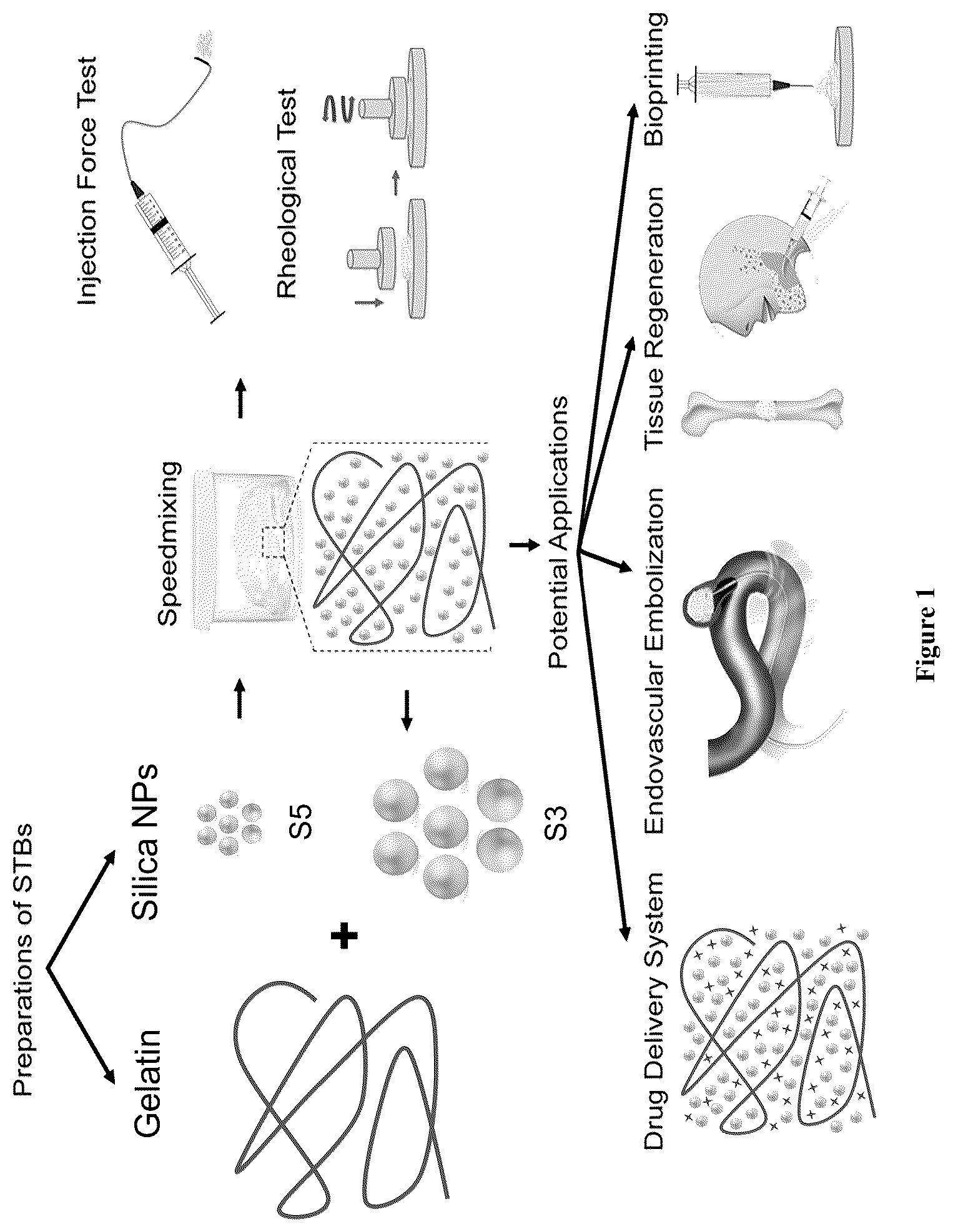 Patent US12551602 — Nanoengineering of shear-thinning biomaterials — Figure 1