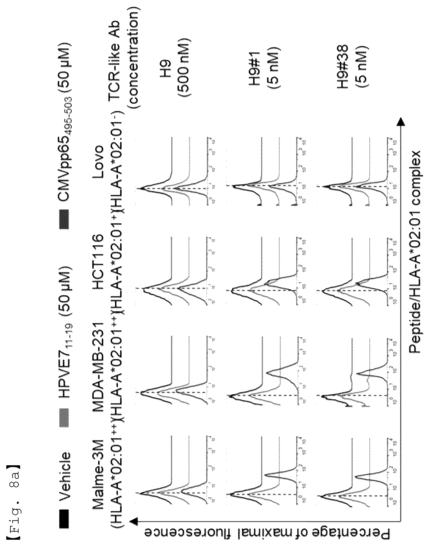Patent US12551733 Figure 12 – Fusion antibody for presenting antigen-derived T cell antigen epitope or peptide containing same on cell surface, and composition comprising same
