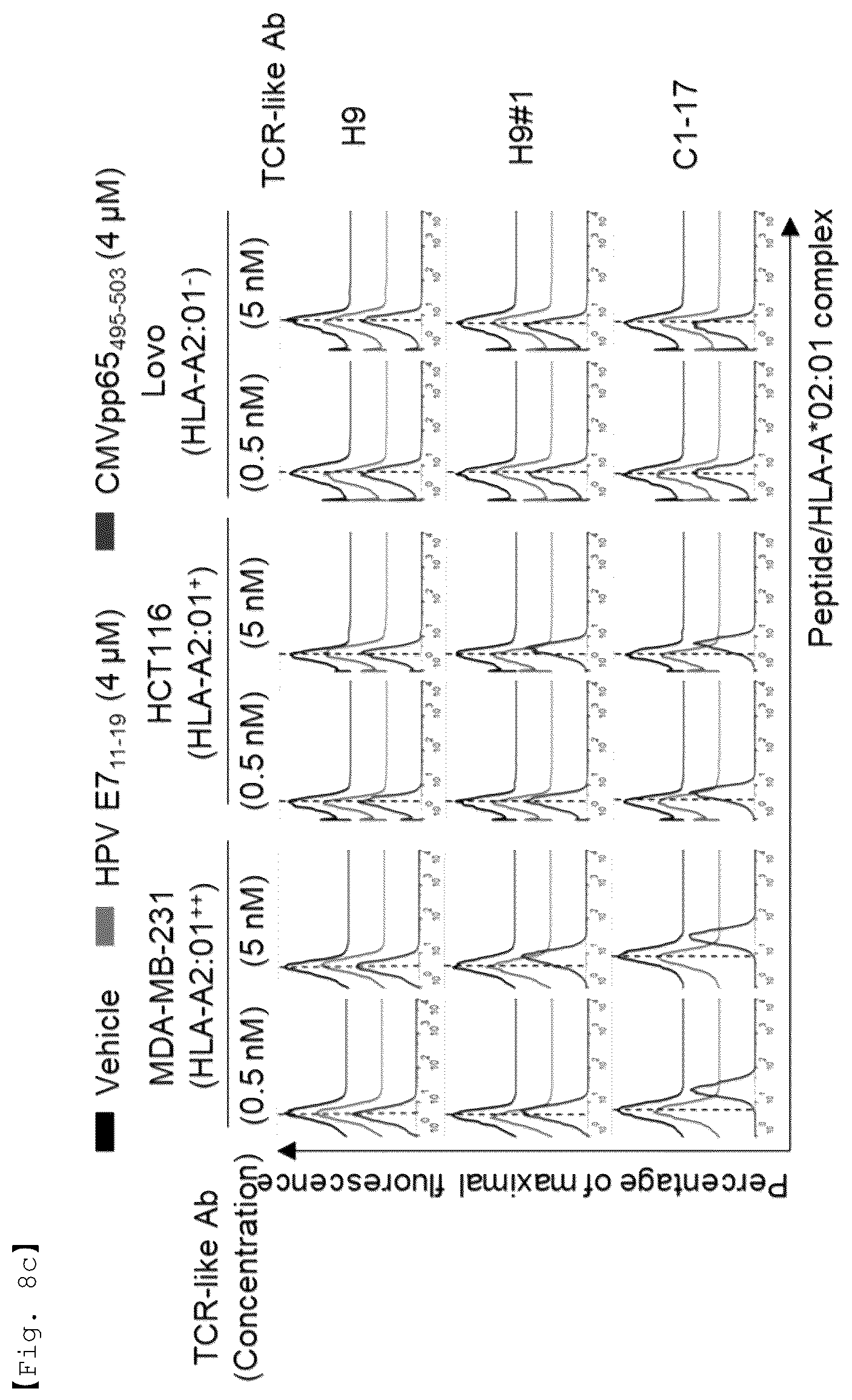 Patent US12551733 Figure 14 – Fusion antibody for presenting antigen-derived T cell antigen epitope or peptide containing same on cell surface, and composition comprising same