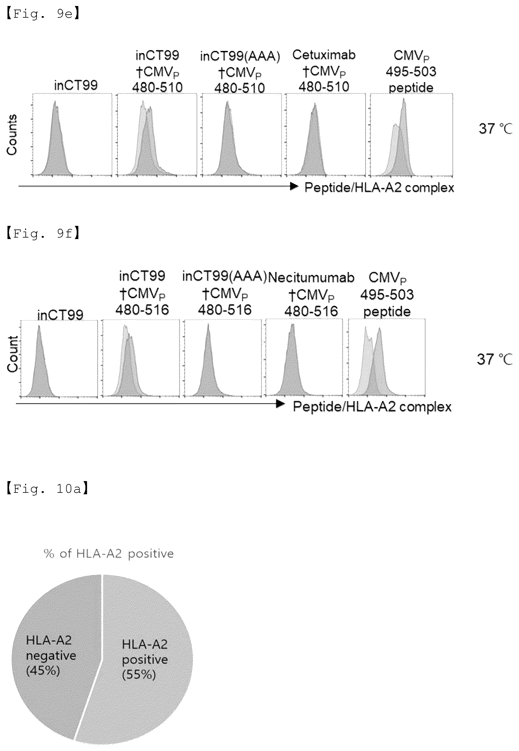 Patent US12551733 Figure 18 – Fusion antibody for presenting antigen-derived T cell antigen epitope or peptide containing same on cell surface, and composition comprising same