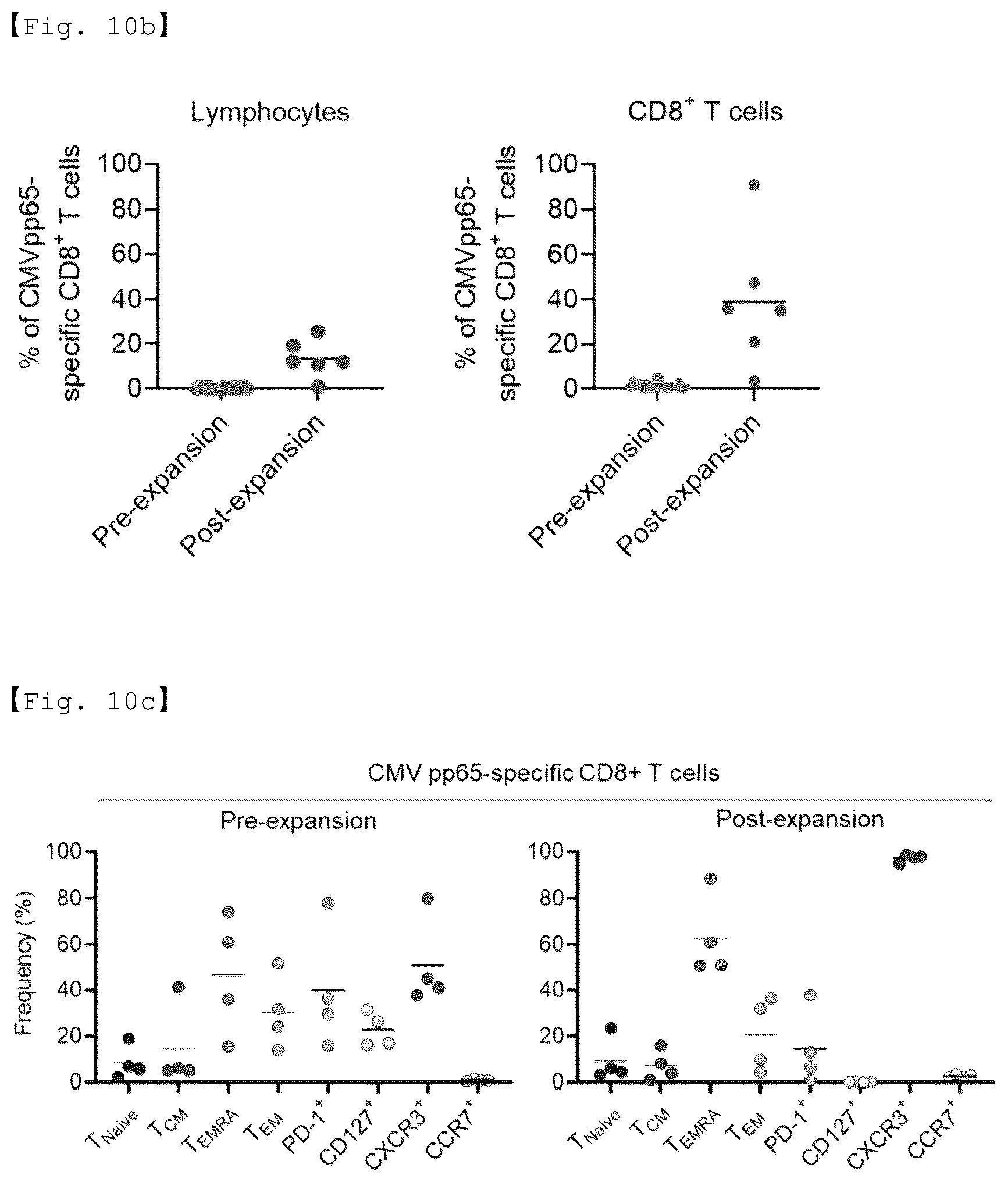 Patent US12551733 Figure 19 – Fusion antibody for presenting antigen-derived T cell antigen epitope or peptide containing same on cell surface, and composition comprising same