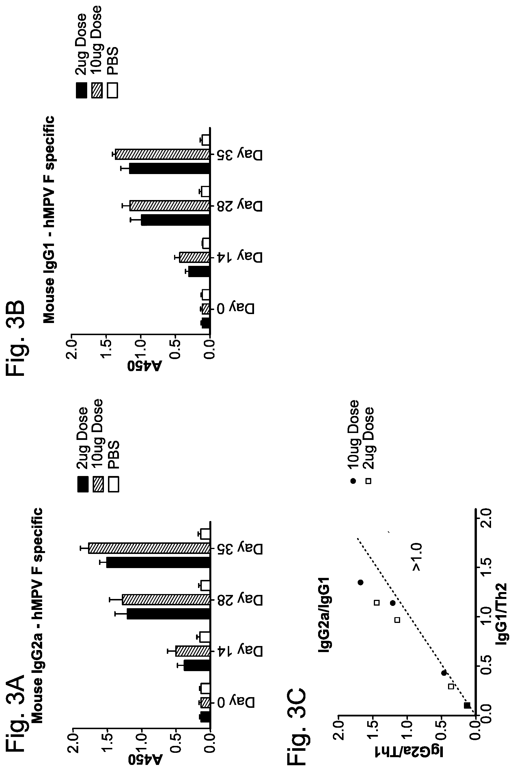 Patent US12551734 Figure 3 – Betacoronavirus mRNA vaccines