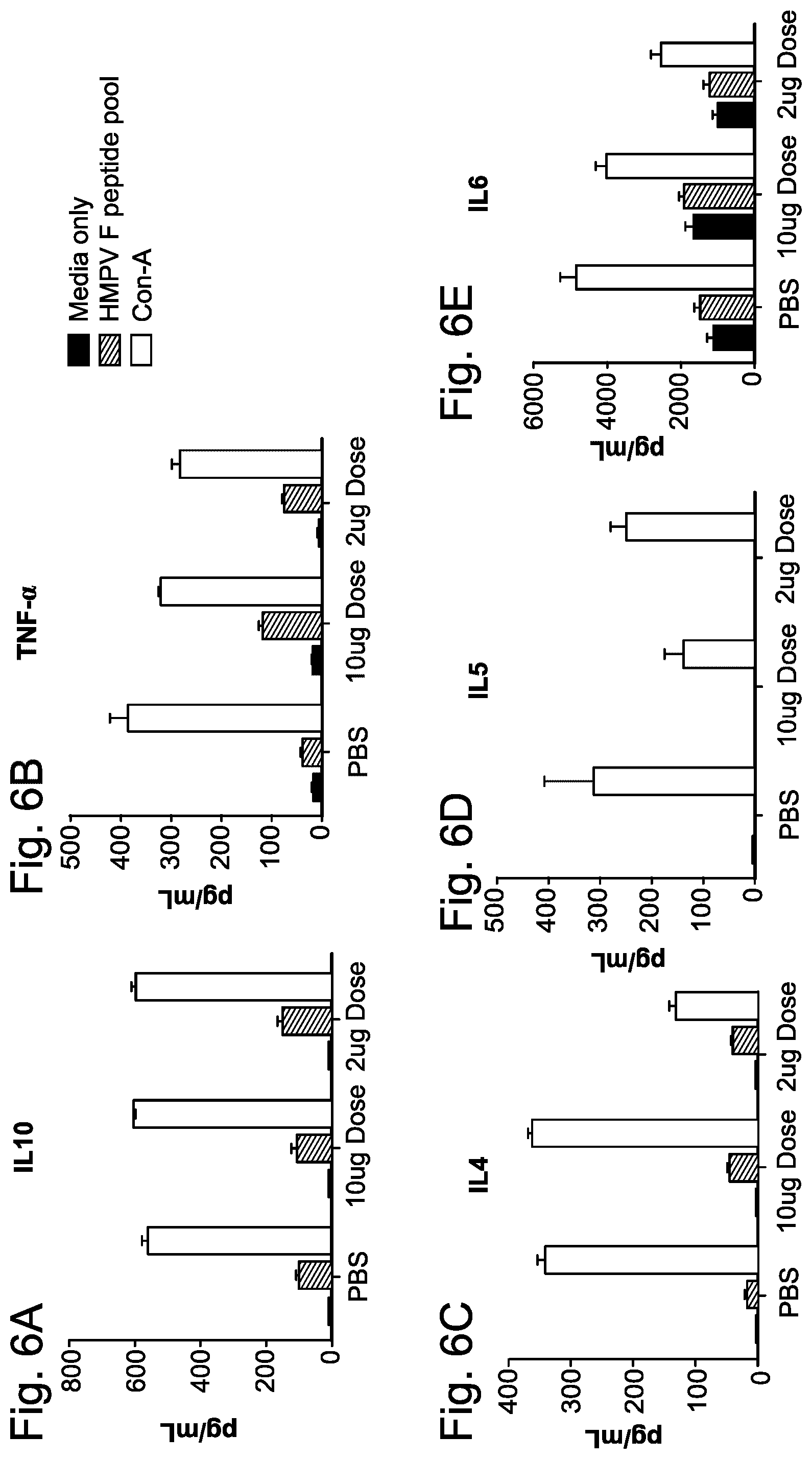 Patent US12551734 Figure 6 – Betacoronavirus mRNA vaccines
