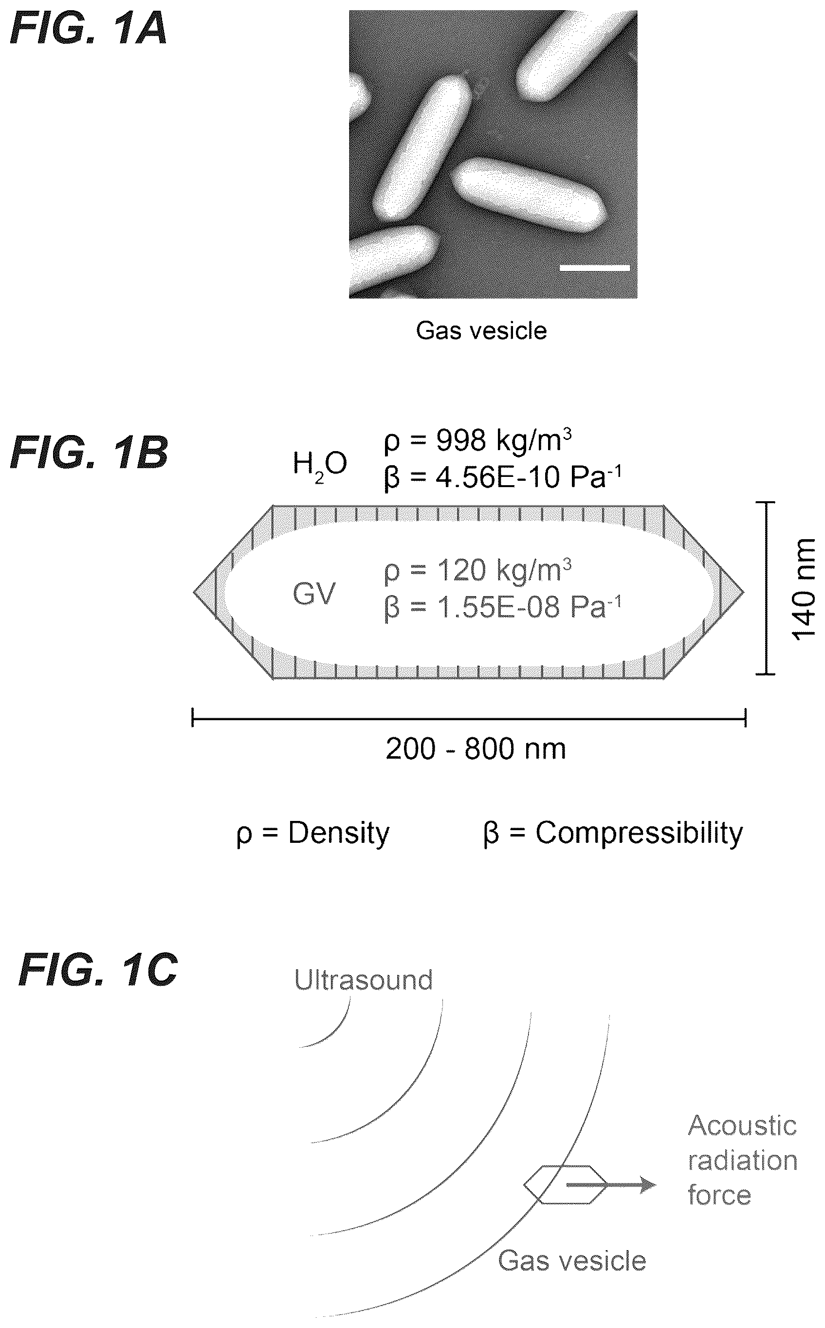 Patent US12551893 Figure 1 – Genetically encoded actuators for acoustic manipulation