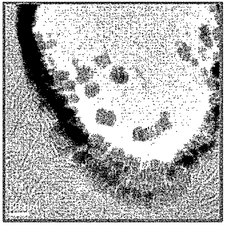 Patent US12552142 — Multilayer structure, molded product, and method for producing molded product — Figure 1