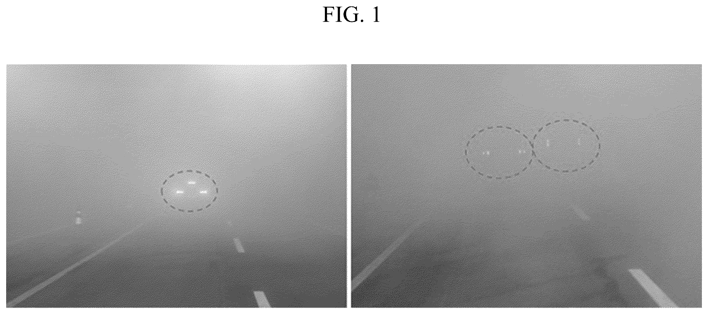 Patent US12552309 — Automatic light intensity control device for vehicle rear lamps in response to changes in visibility distance and its control method — Figure 1