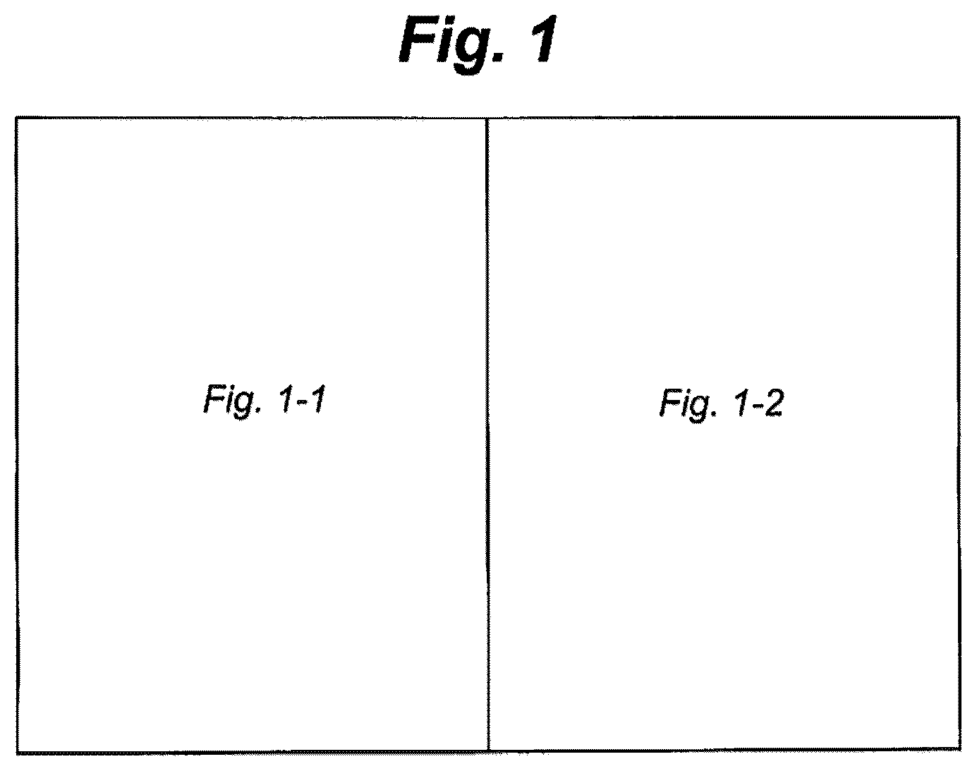 Patent US12552726 — Incorporation of biological agents in fertilizers — Figure 1