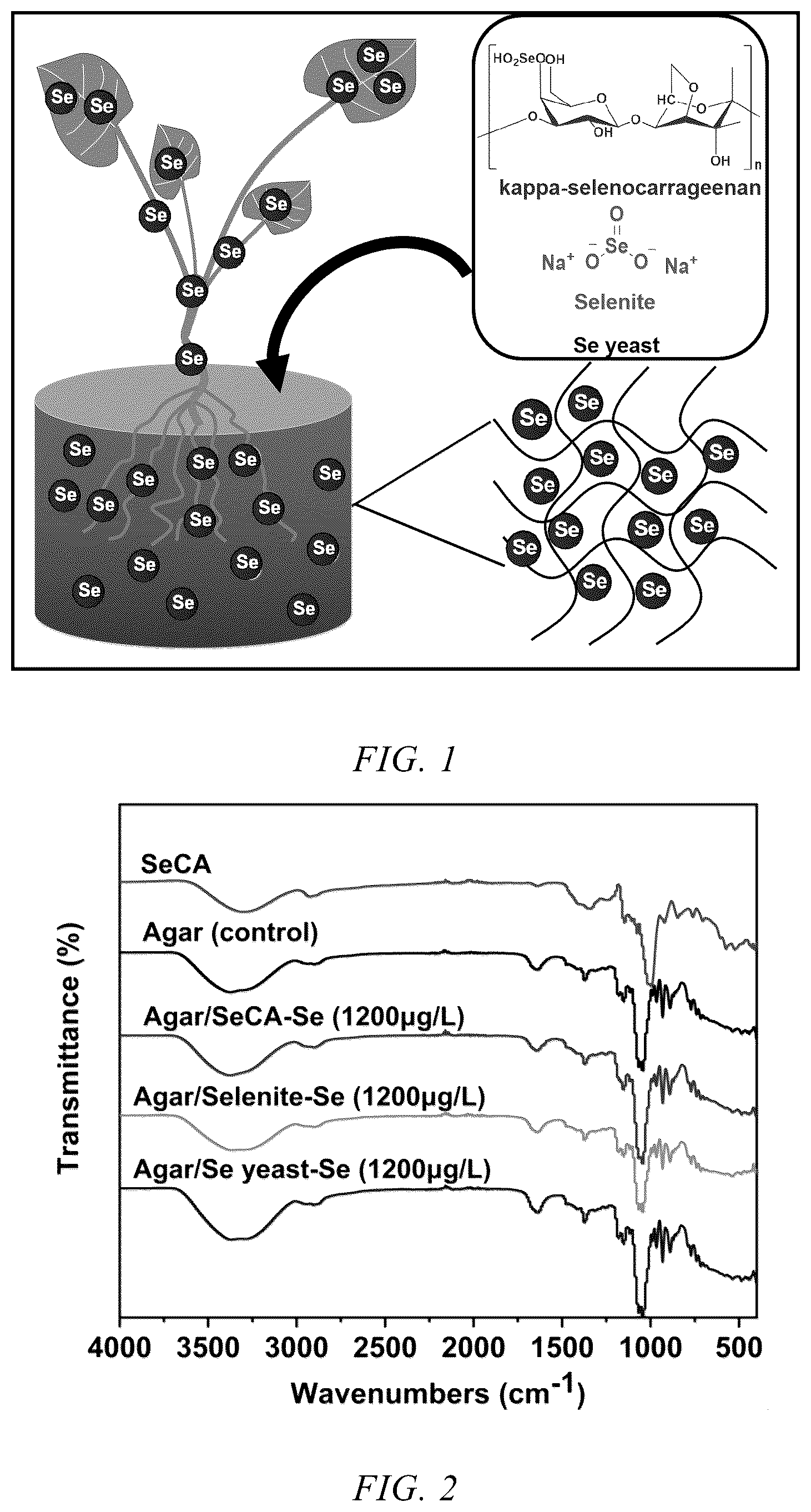 Patent US12552728 — Method for preparing selenium-water-soluble polysaccharide hydrogel and use thereof in selenium enrichment in plants — Figure 1