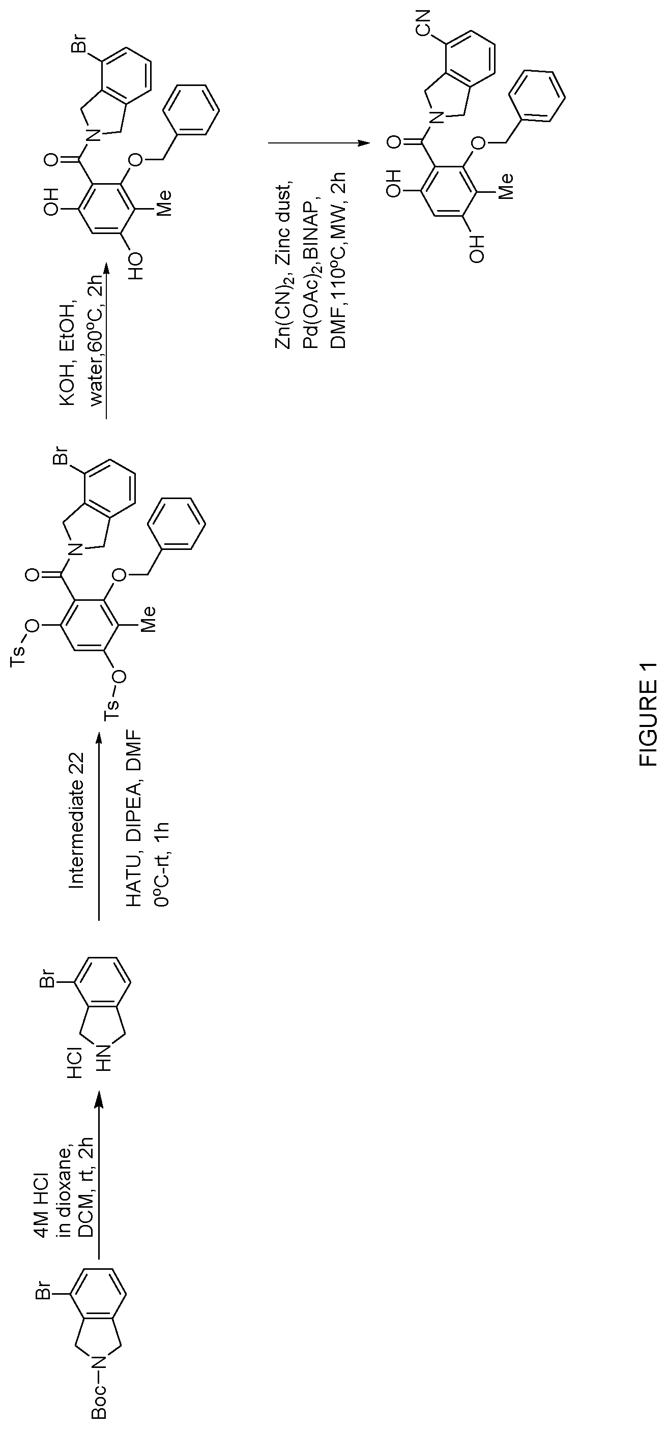 Patent US12552758 — Inhibitors of MLH1 and/or PMS2 for cancer treatment — Figure 1