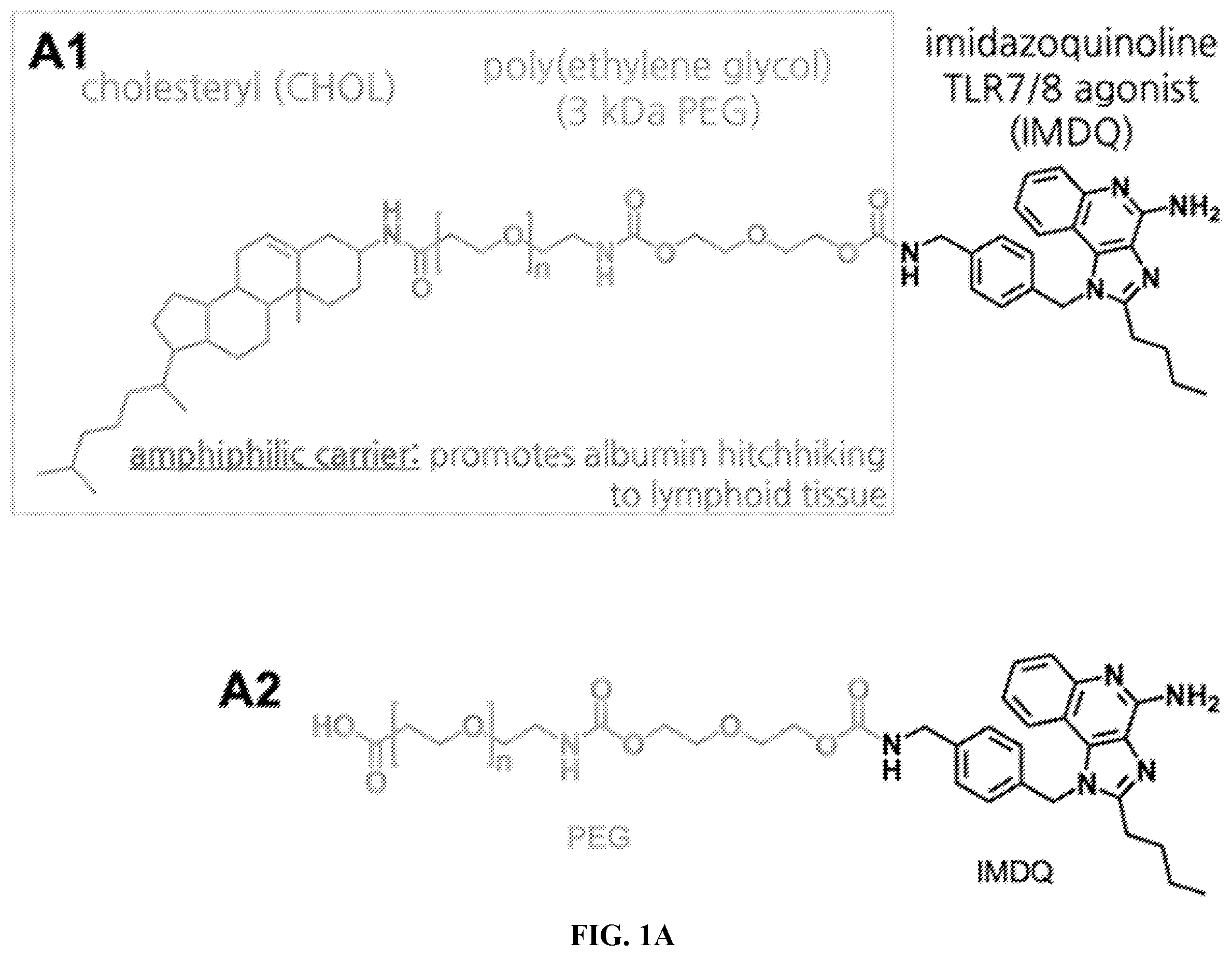 Patent US12552788 — IMDQ-PEG-CHOL adjuvant and uses thereof — Figure 1