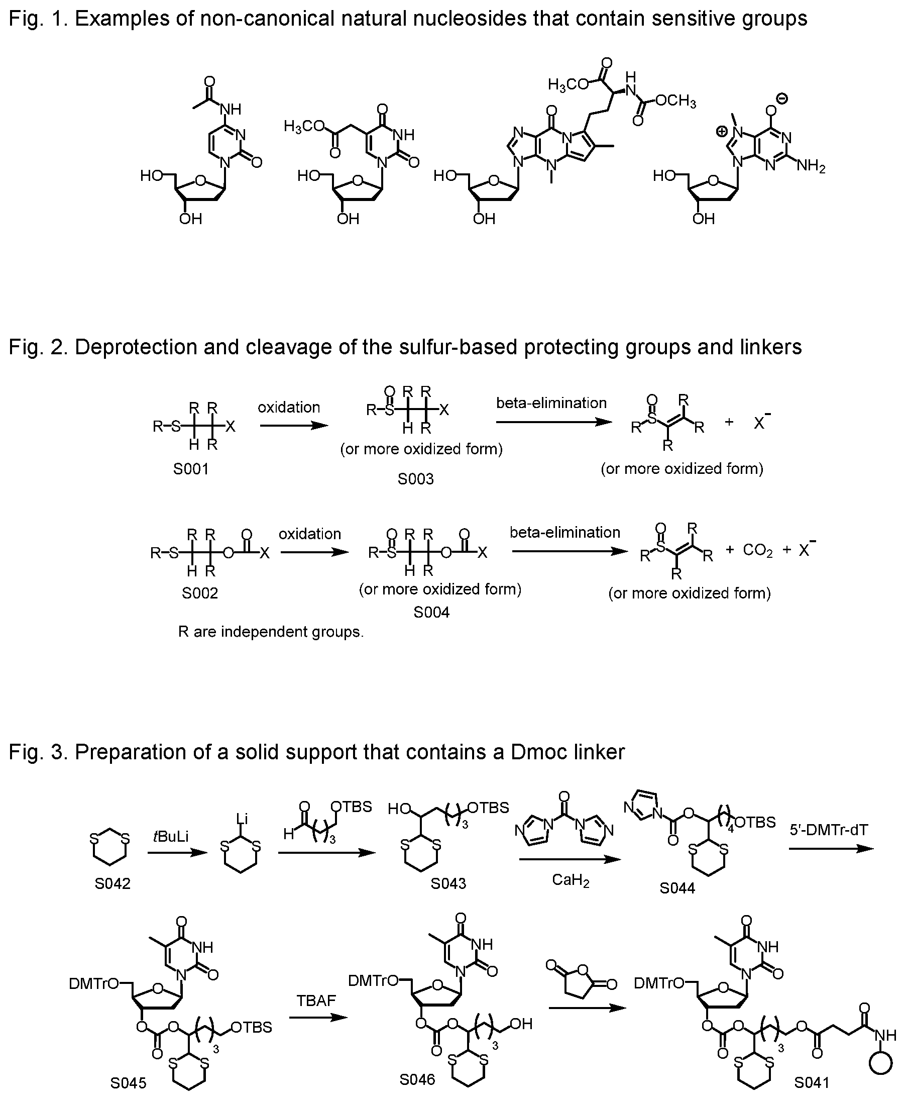 Patent US12552828 — Sensitive oligonucleotide synthesis using sulfur-based functions as protecting groups and linkers — Figure 1