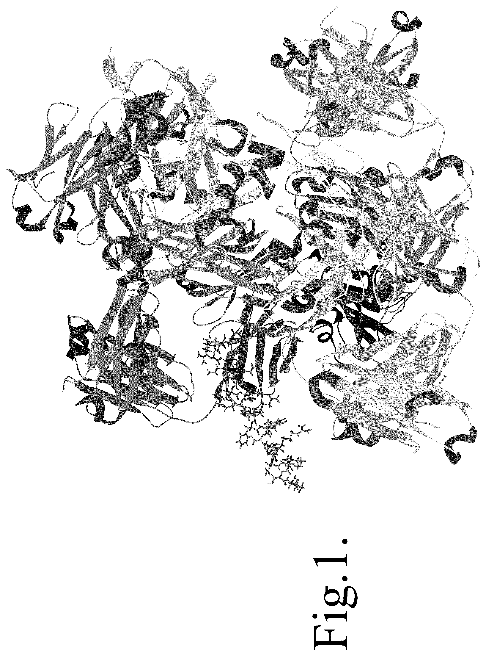 Patent US12552840 — Identification of inhibitor peptides to bind with n-terminal spike (s) and nonstructural protein (NSP) sequences of SARS-COV2 b.1.617.2 Delta or Omicron variants alone and combination with drug(s) for targeted antiviral therapy — Figure 1