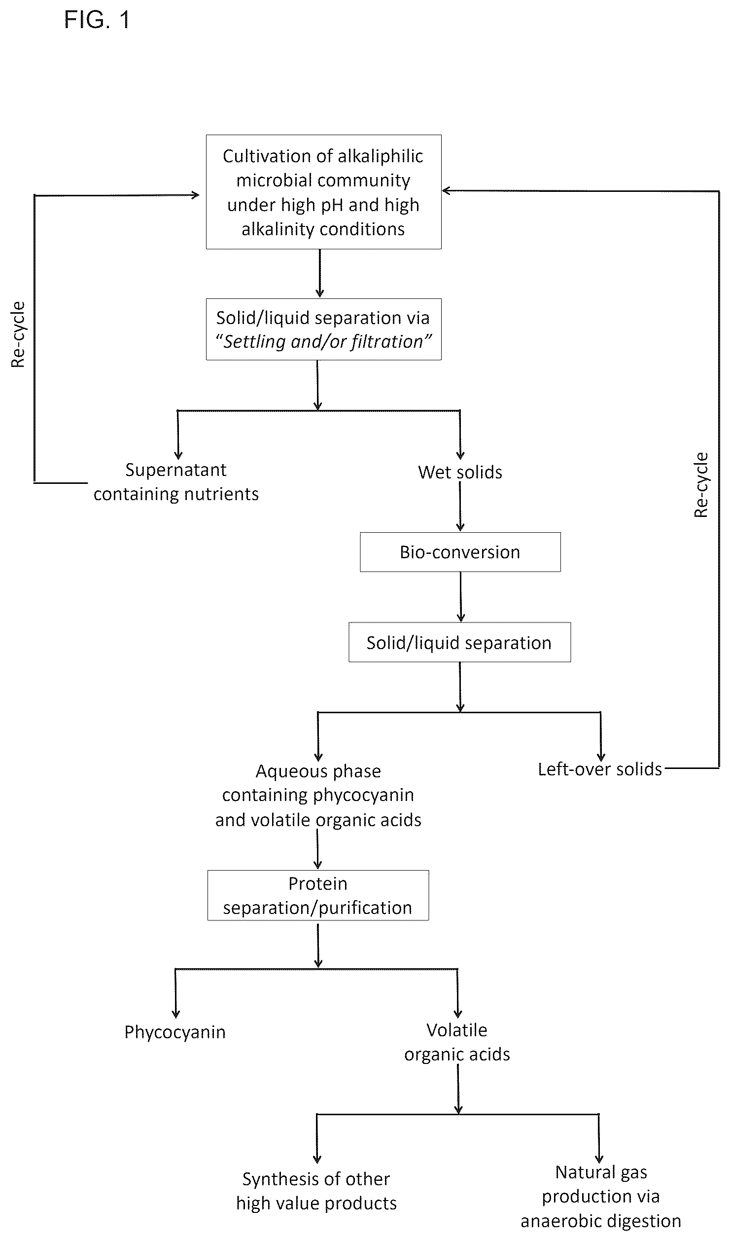 Patent US12552842 — Alkaliphilic consortium shifting for production of phycocyanins and biochemicals — Figure 1