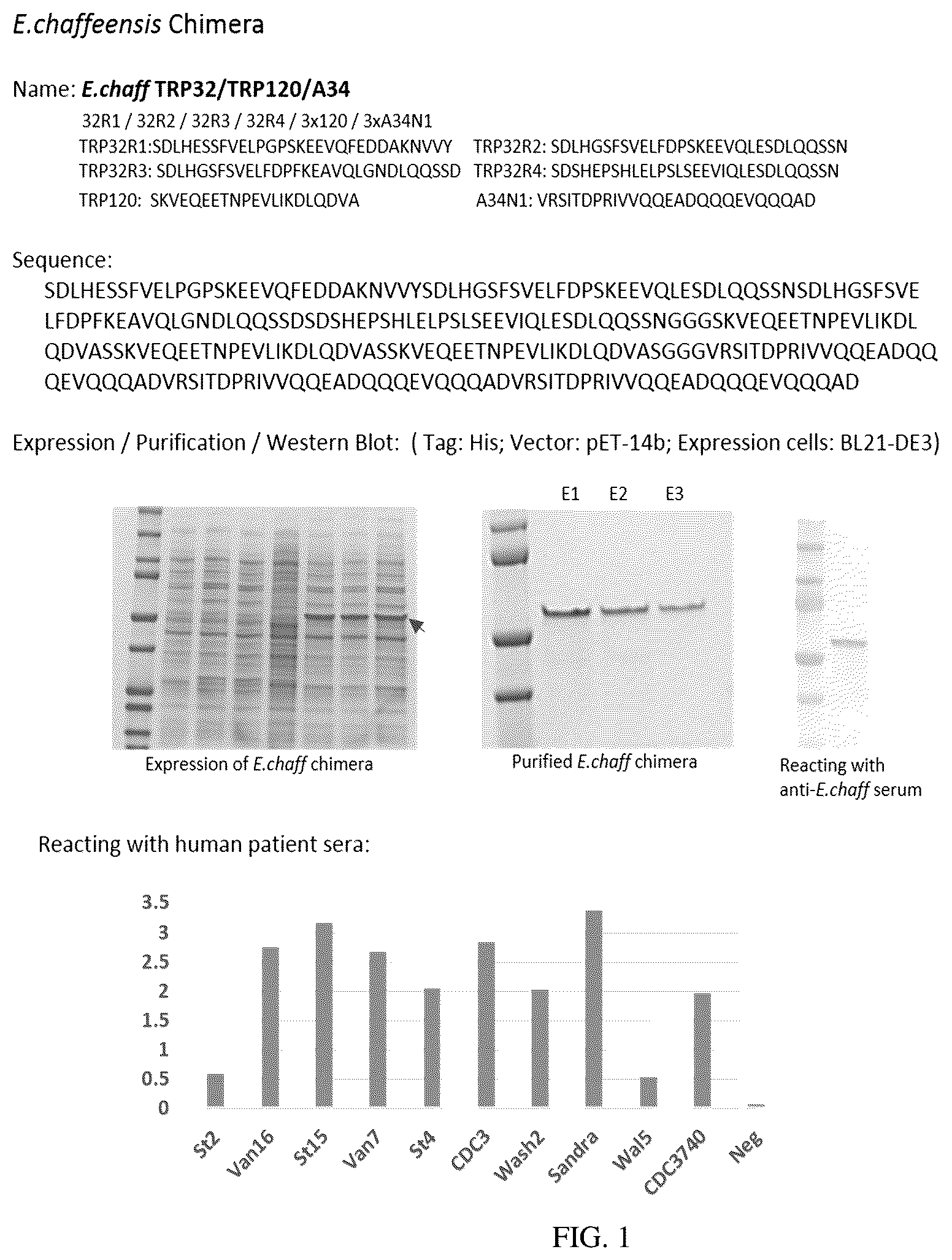 Patent US12552843 — Chimeric immunogenic polypeptides — Figure 1