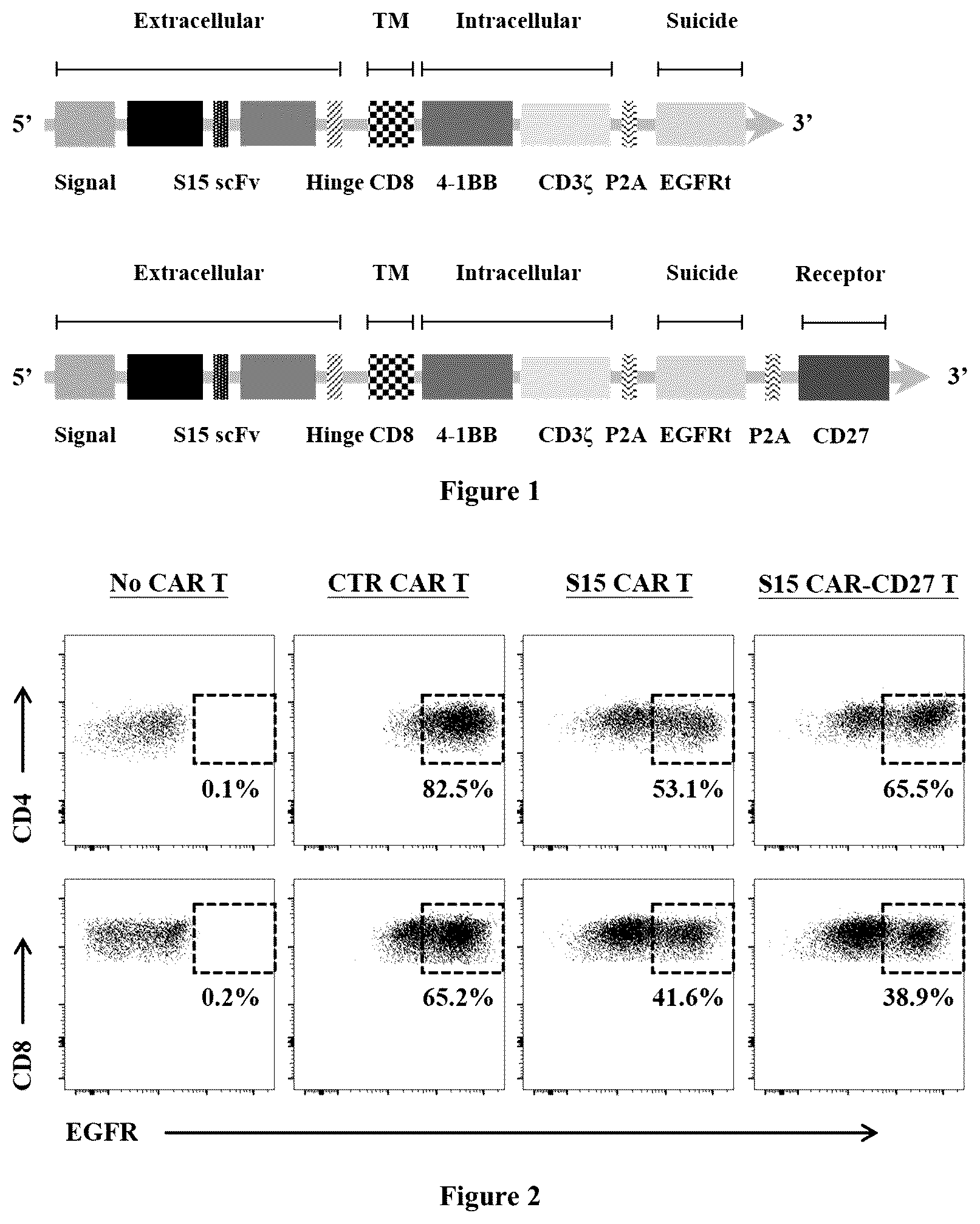 Patent US12552852 — Chimeric antigen receptor t lymphocyte for treating tumors, preparation method therefor, and use thereof — Figure 1