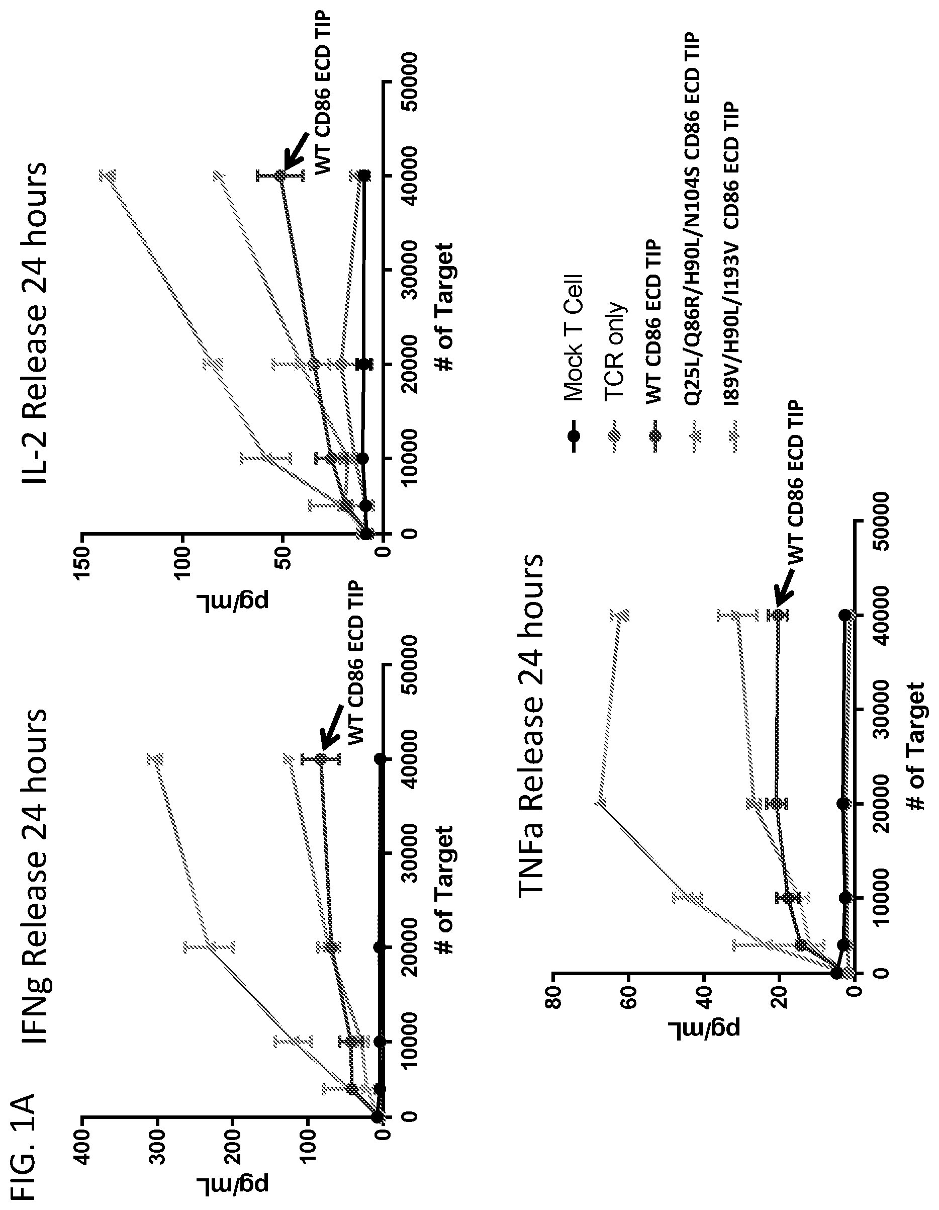 Patent US12552853 — CD86 variant immunomodulatory proteins and uses thereof — Figure 1