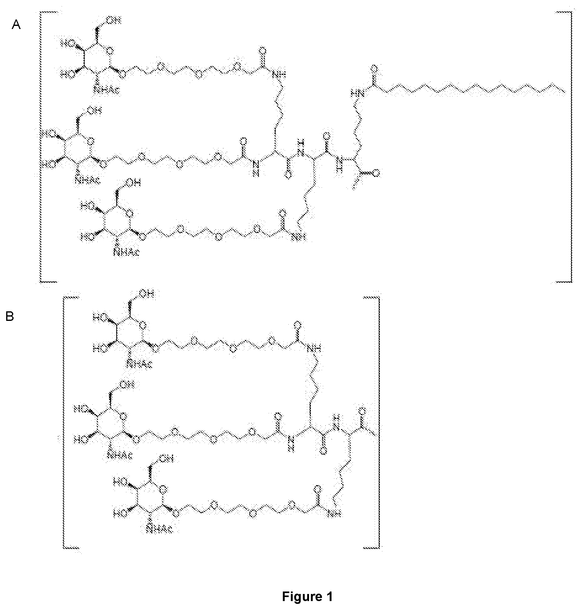 Patent US12552862 — Oligonucleotides for reduction of PD-L1 expression — Figure 1