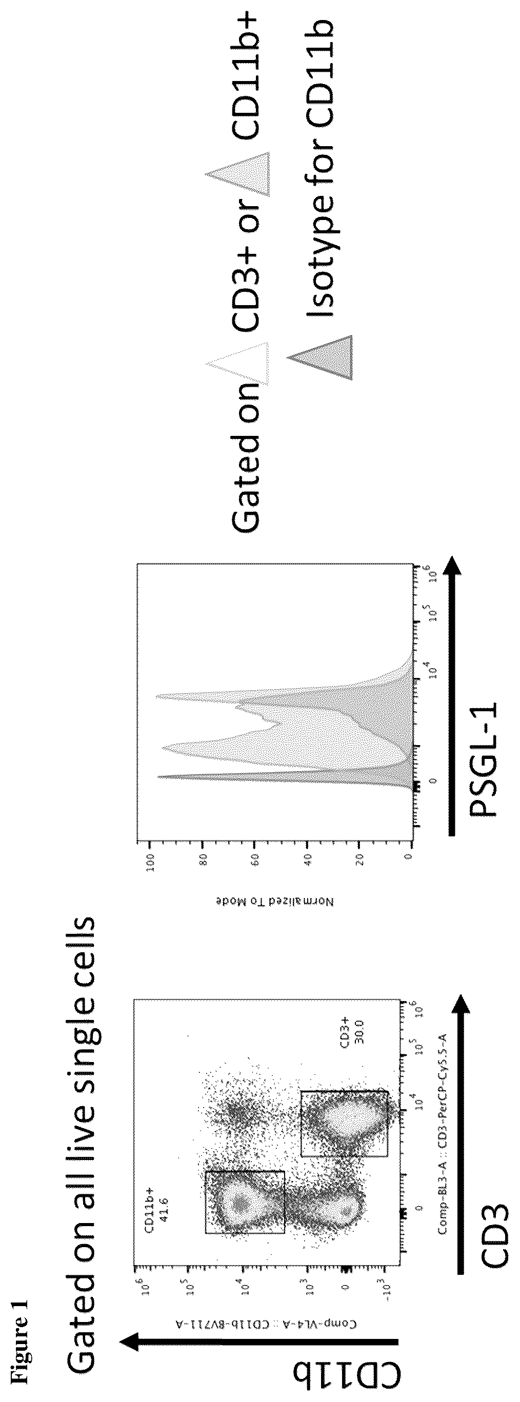 Patent US12552873 — Anti-PSGL-1 compositions and methods for modulating myeloid cell inflammatory phenotypes and uses thereof — Figure 1