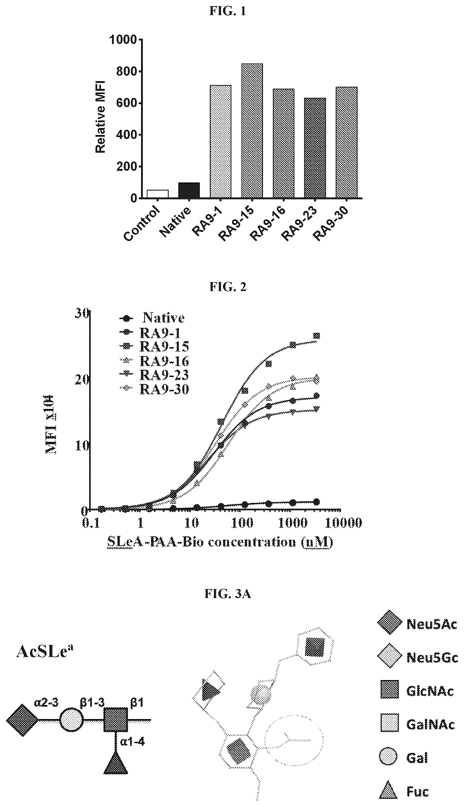 Patent US12552874 — Antibodies to carbohydrate antigens — Figure 1
