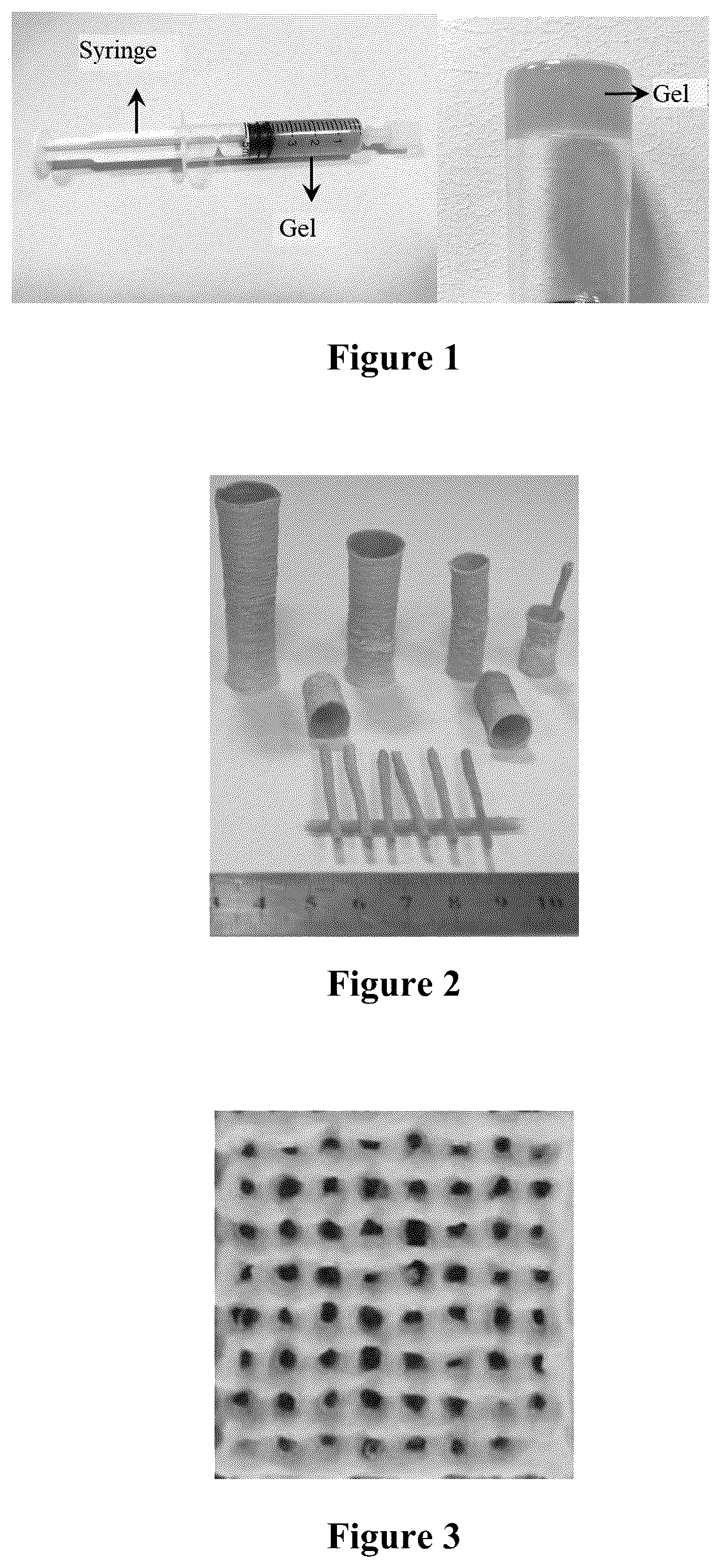 Patent US12552947 — Bioink for 3D printing, the preparation method and usage — Figure 1