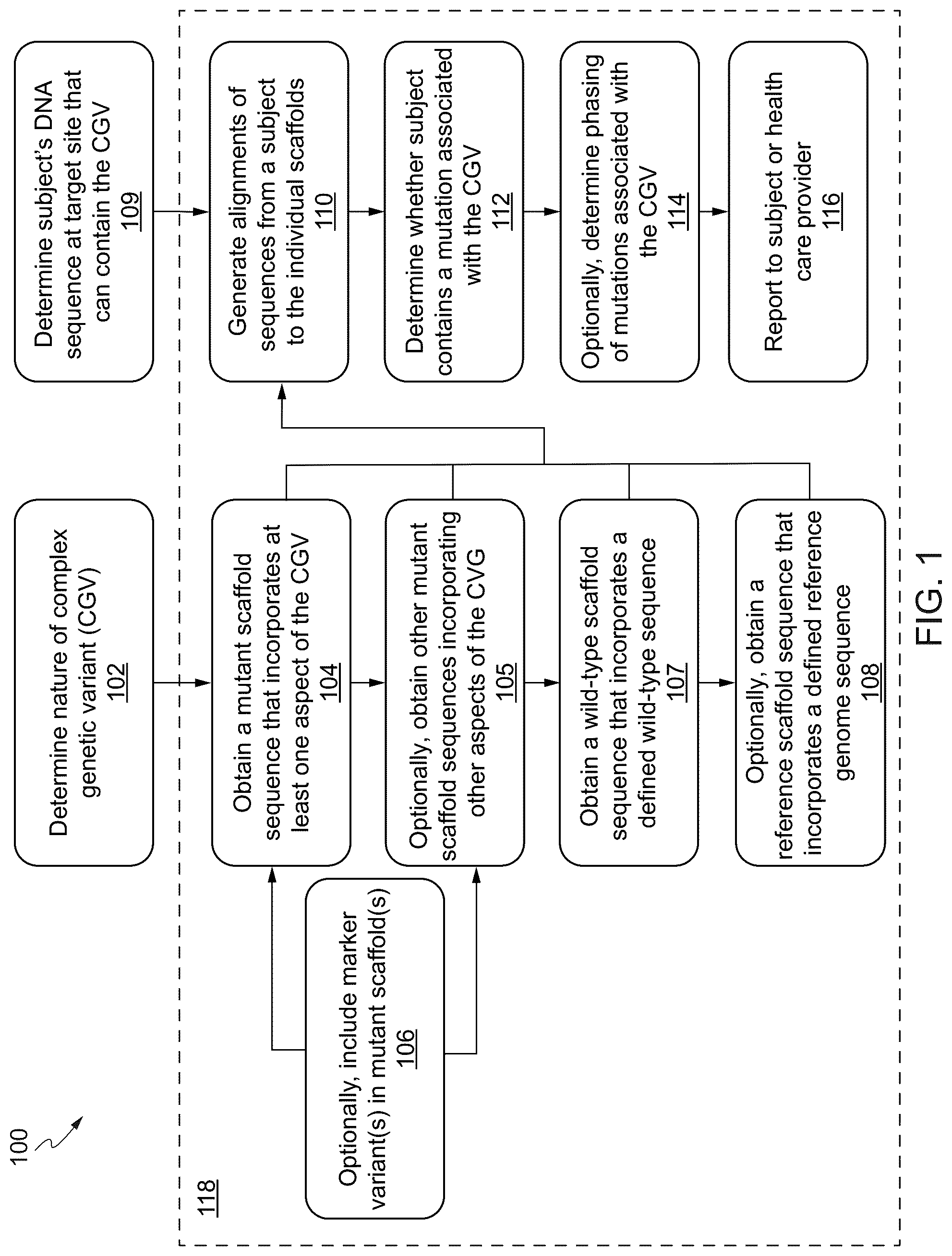 Patent US12562237 — Methods and systems for detection and phasing of complex genetic variants — Figure 1