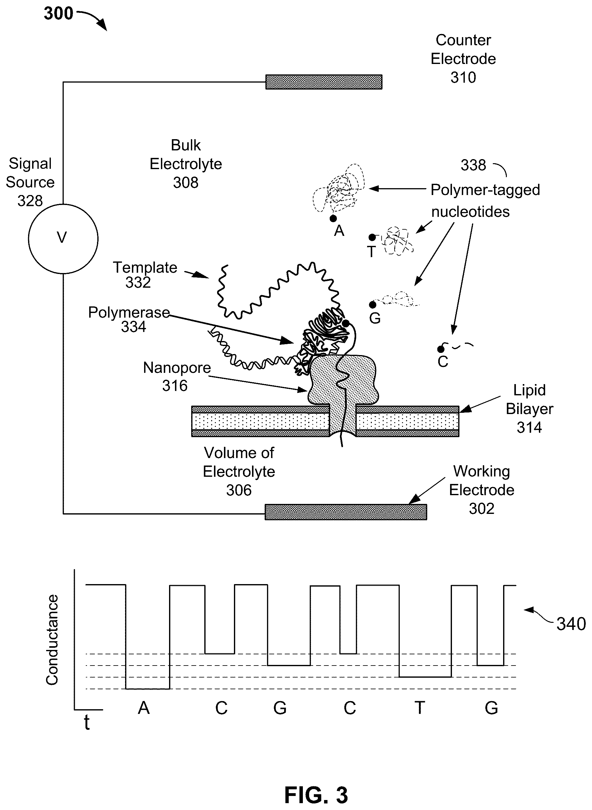 Patent US12562238 Figure 3 – Adaptive nanopore signal compression