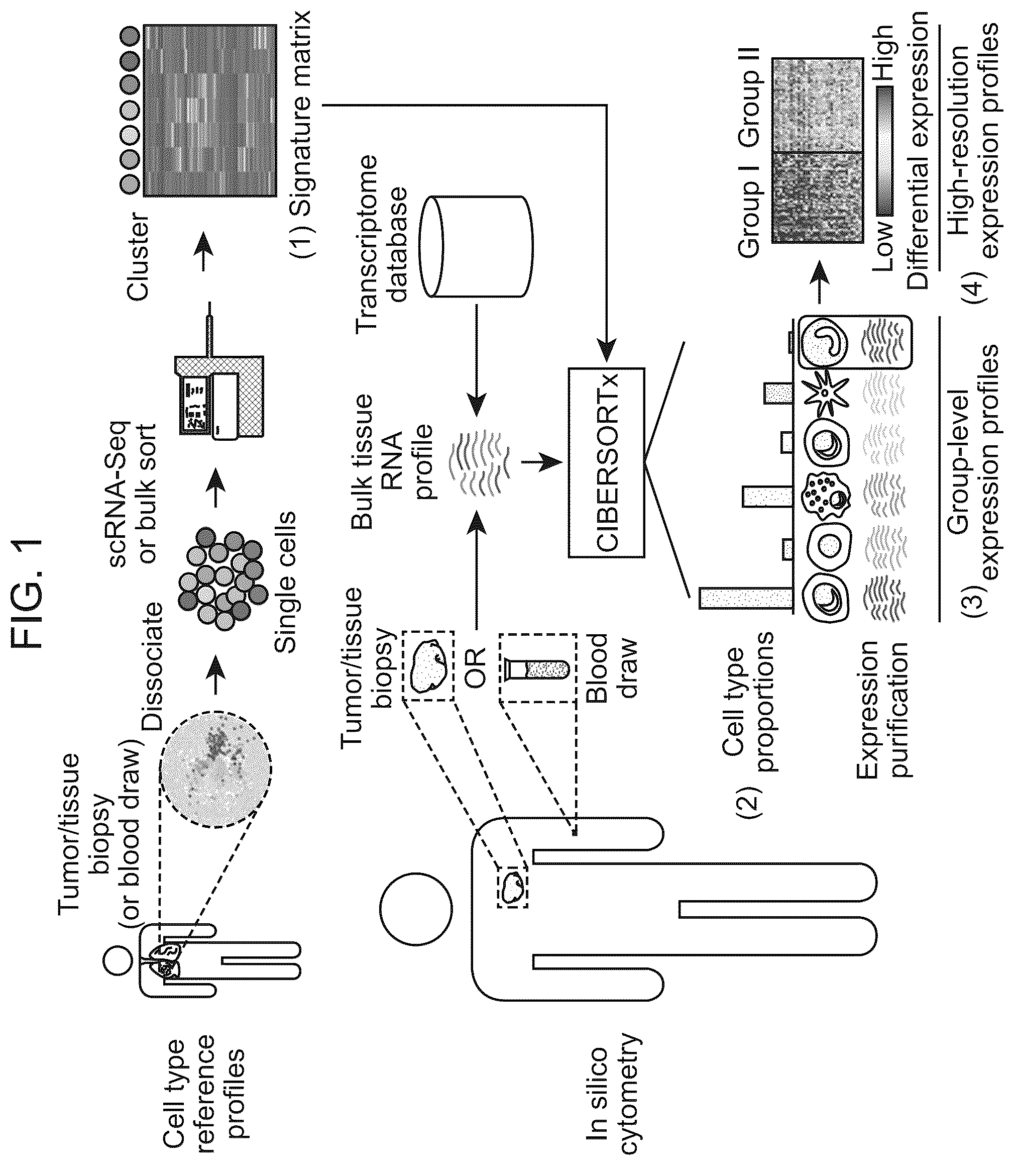 Patent US12562239 — Systems and methods for analyzing mixed cell populations — Figure 1