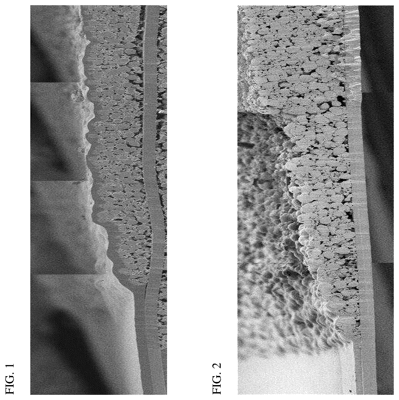Patent US12562370 — Electrode for lithium secondary battery, method of preparing the same and lithium secondary battery including the same — Figure 1