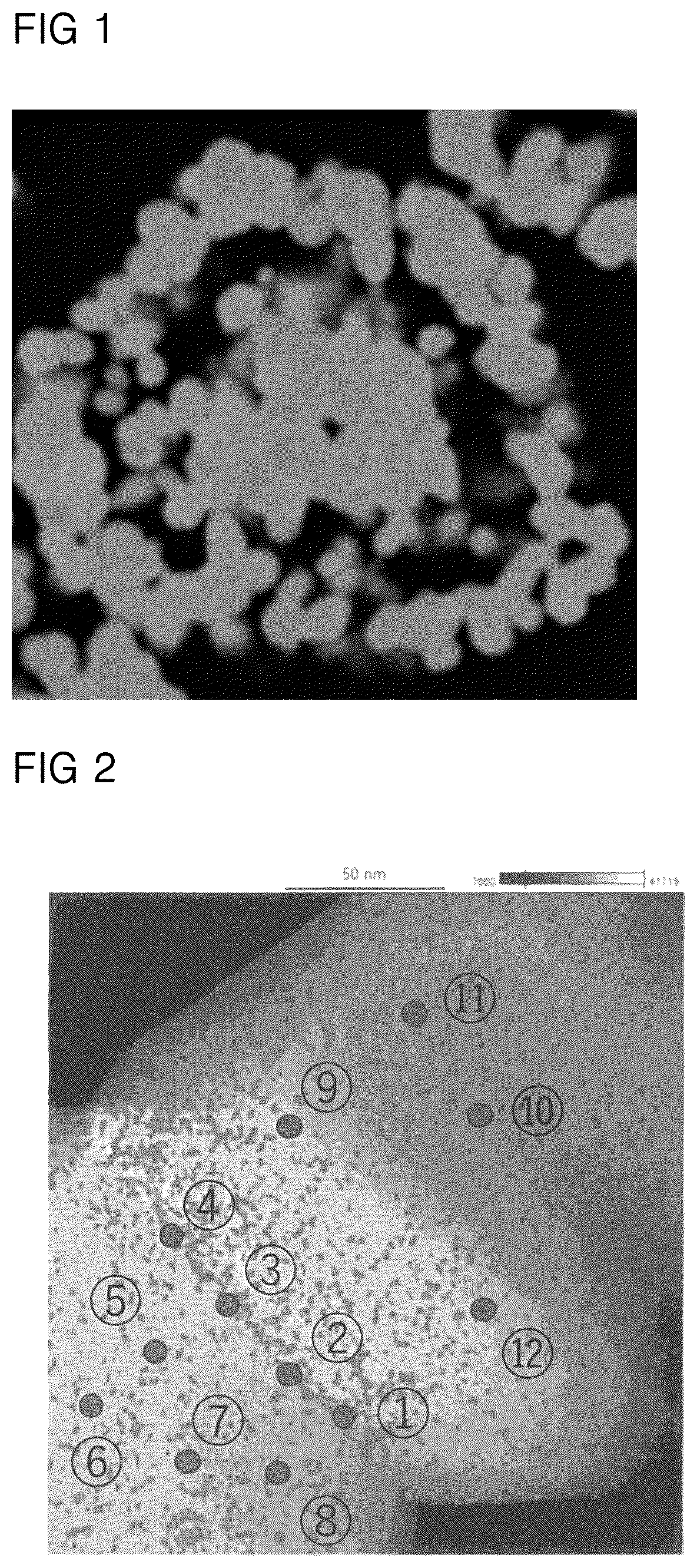 Patent US12562383 — Positive electrode active material for lithium ion secondary battery and lithium ion secondary battery — Figure 1