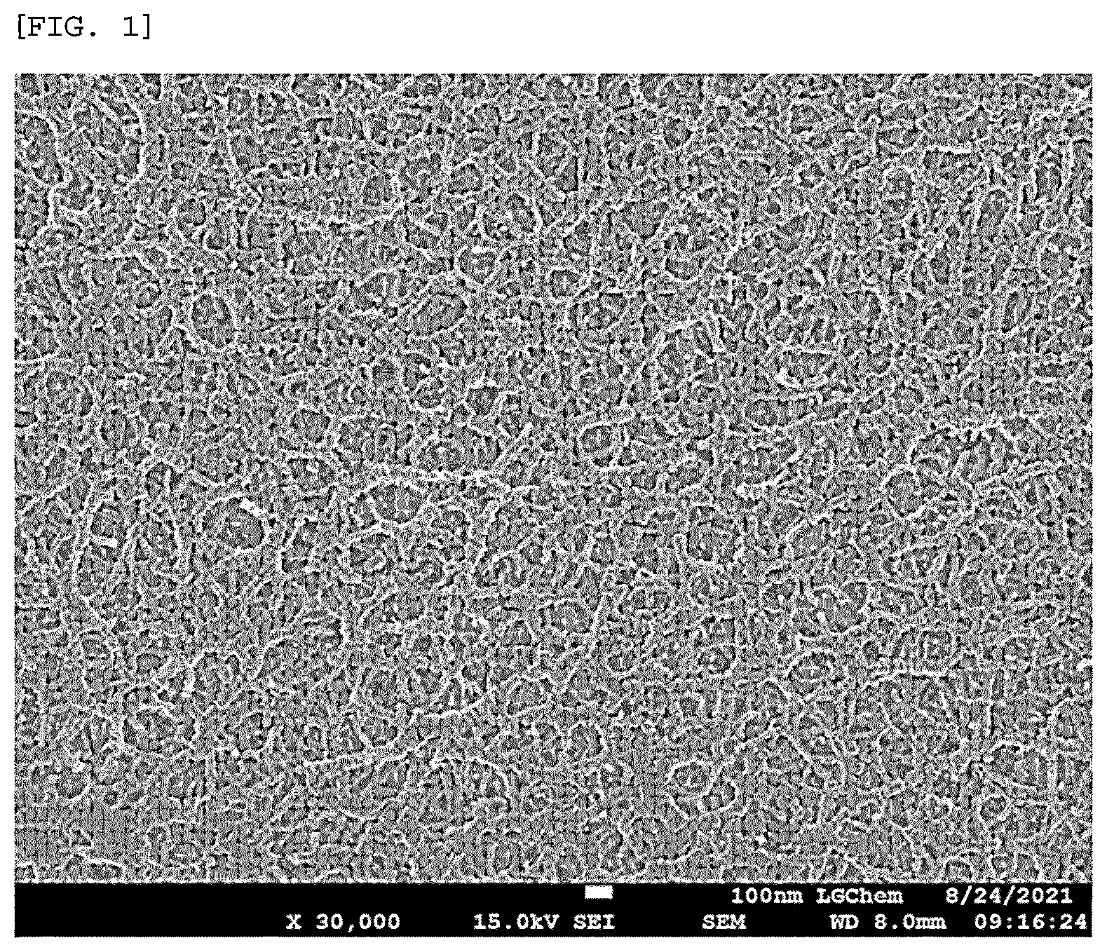 Patent US12562432 — Substrate for separator of electrochemical device, separator including same, and method of forming battery cell separator — Figure 1