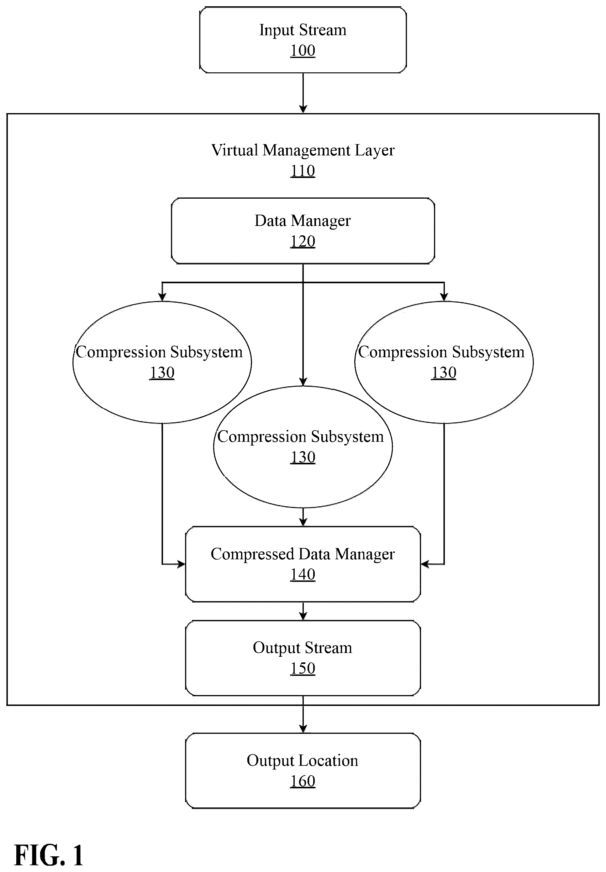 Patent US12562753 — System and method for multi-type data compression or decompression with a virtual management layer — Figure 1