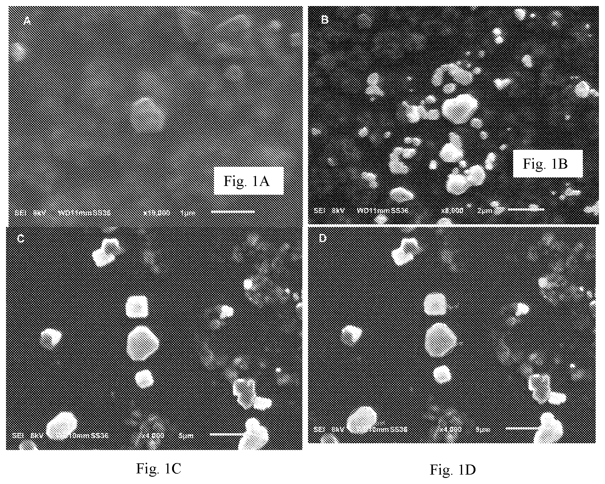 Patent US12564179 — — Figure 1