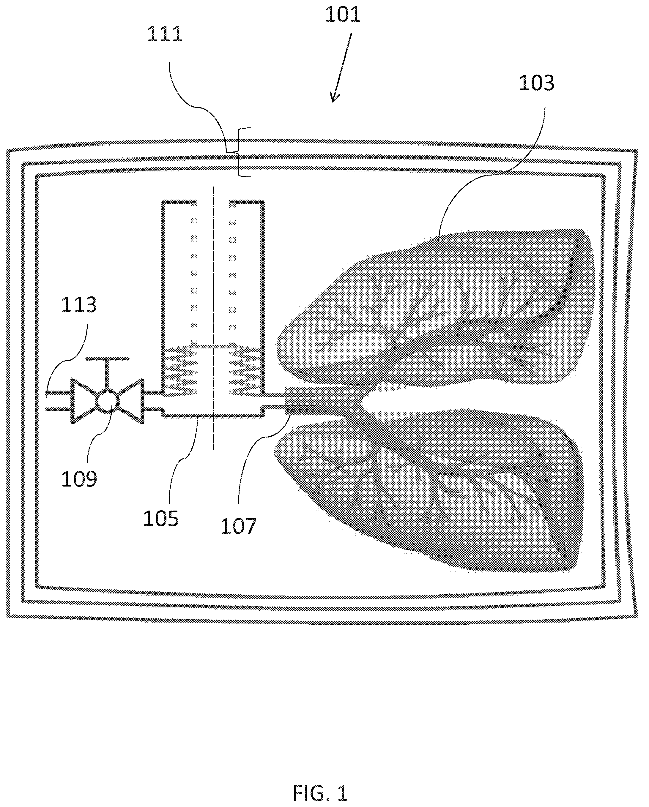 Patent US12564187 — Apparatus for tissue transport and preservation — Figure 1
