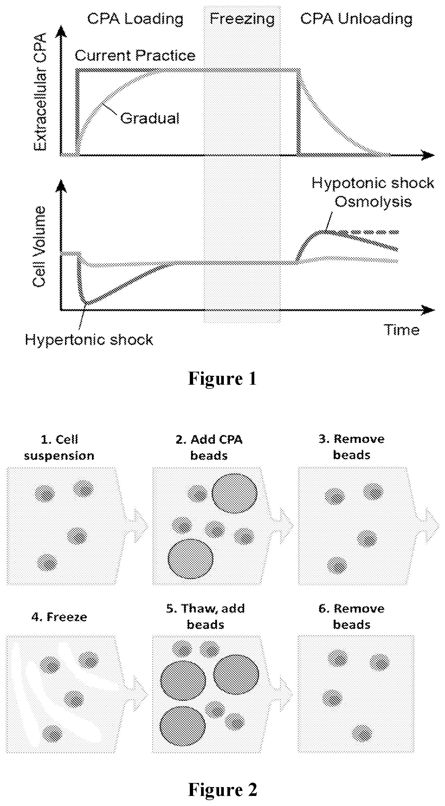 Patent US12564188 — Hydrogel beads for controlled uptake and release of cryoprotective agents — Figure 1
