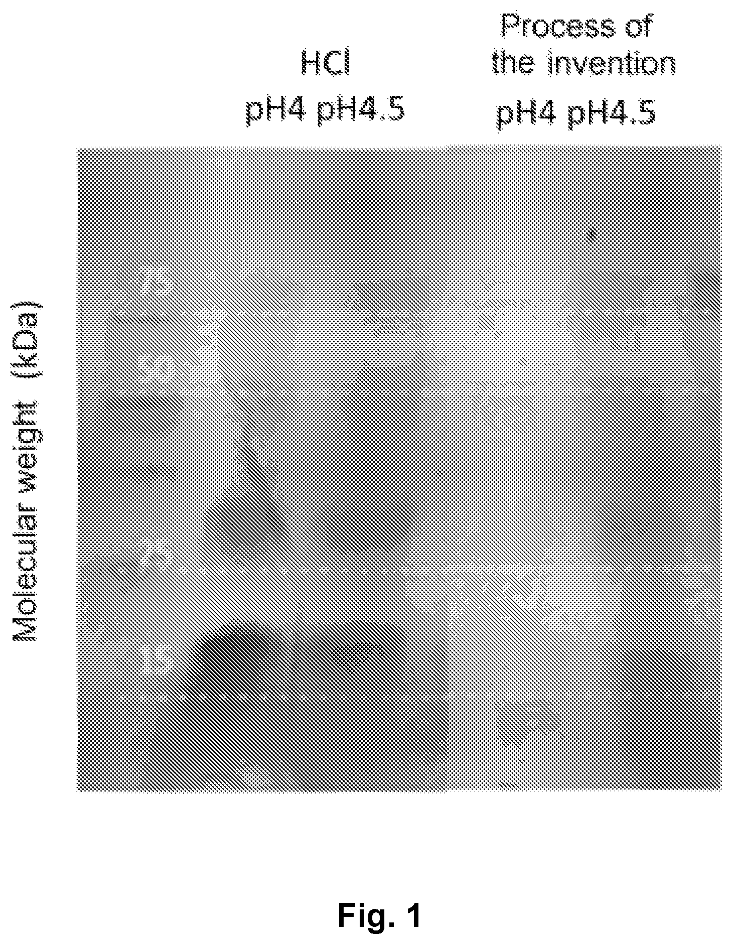 Patent US12564200 — Process for the preparation of undenatured vegetable proteic isolates — Figure 1